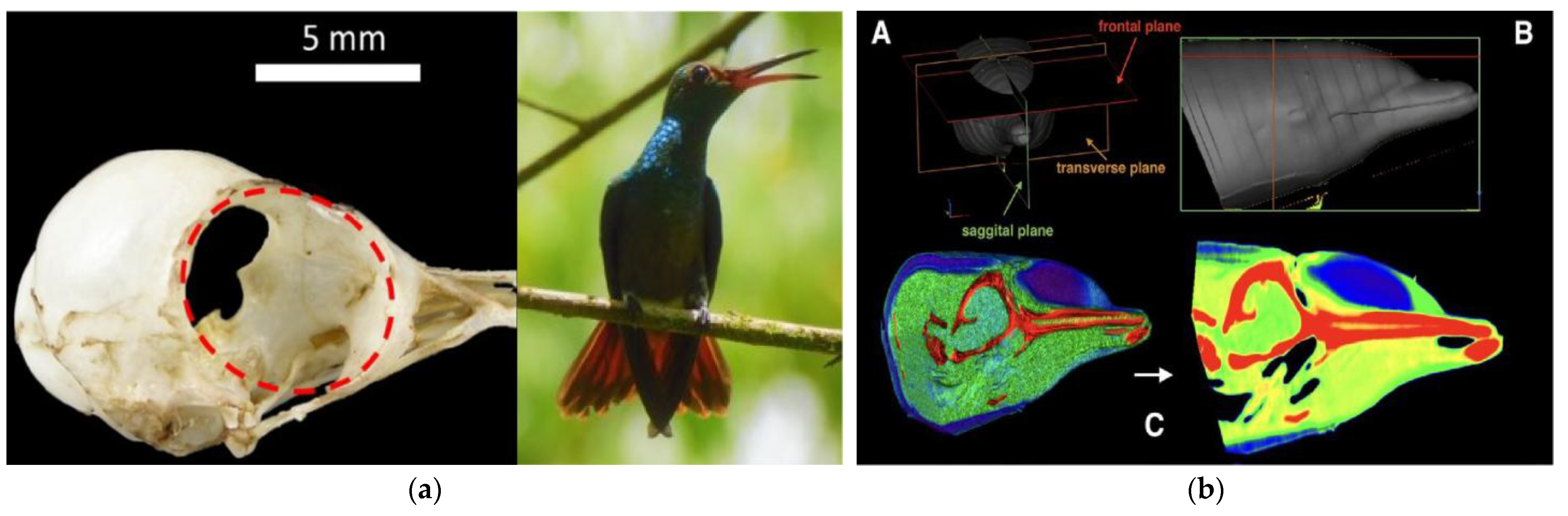 Sensors 25 03100 g003