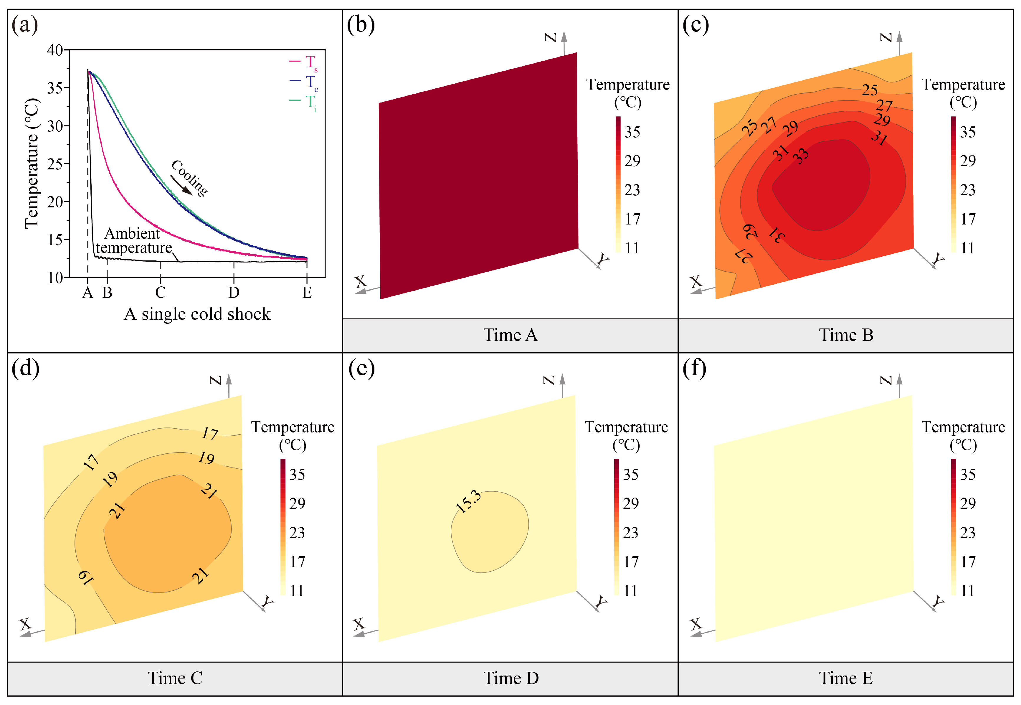 Sensors 25 03115 g003