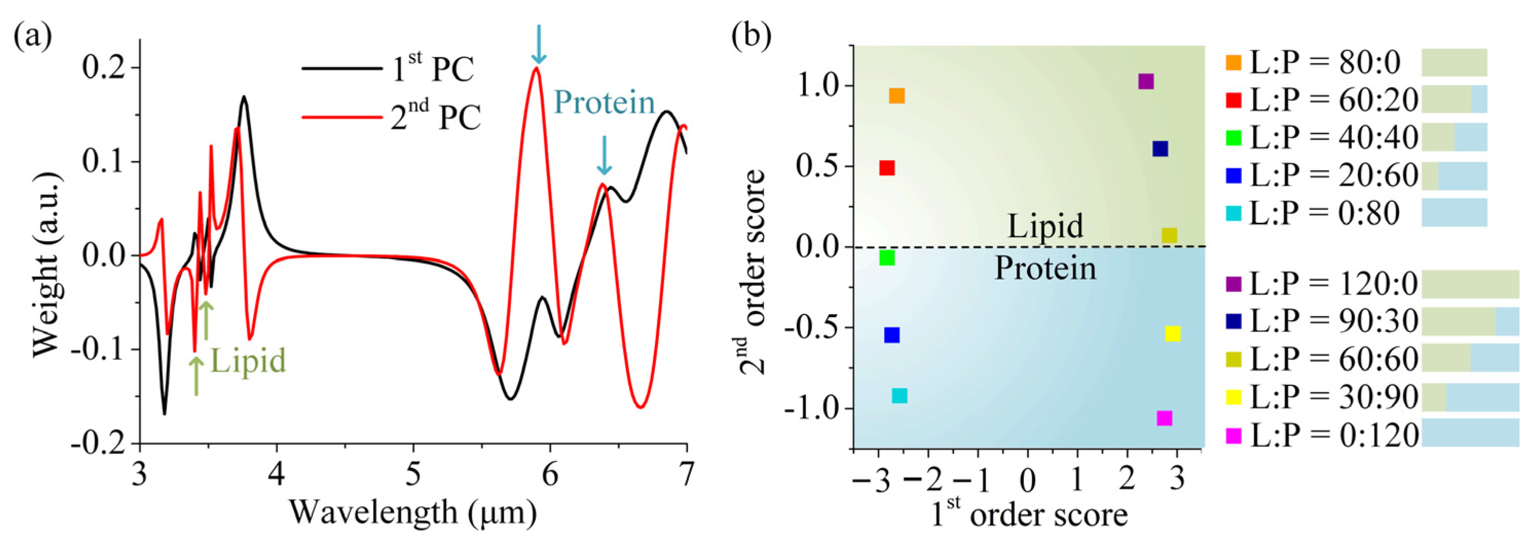 Sensors 25 03135 g006