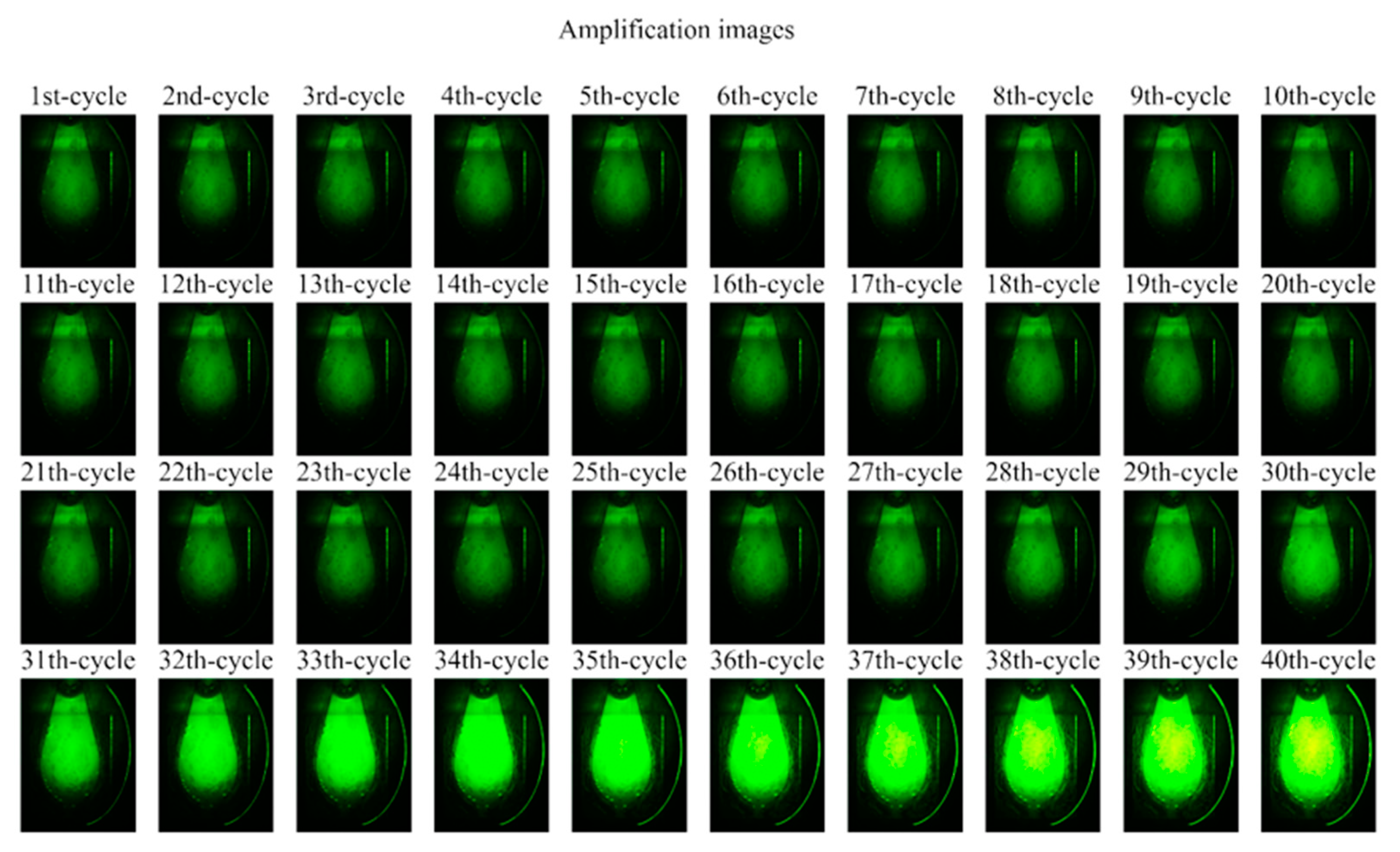 Sensors 25 03159 g017