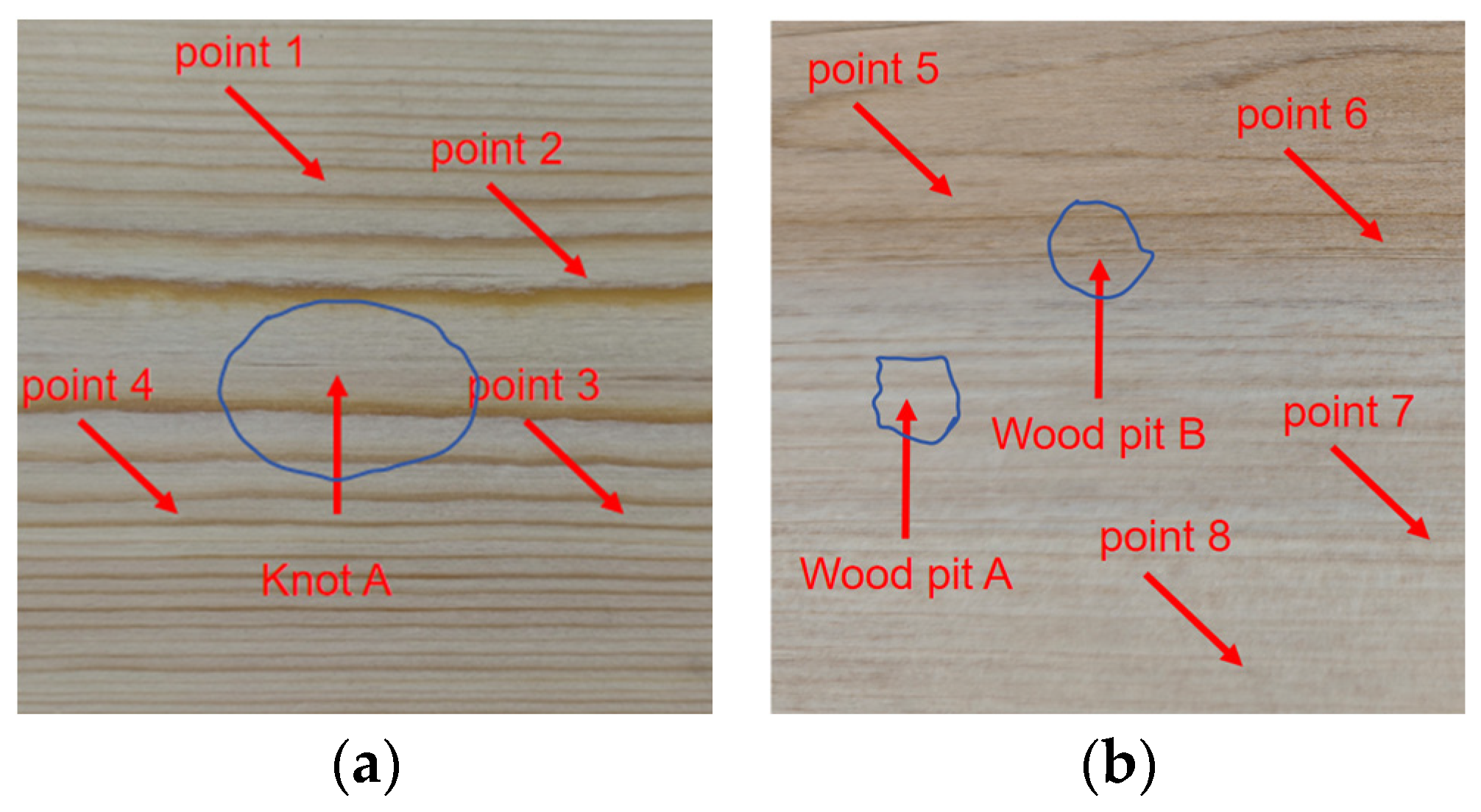 Sensors 25 03168 g013