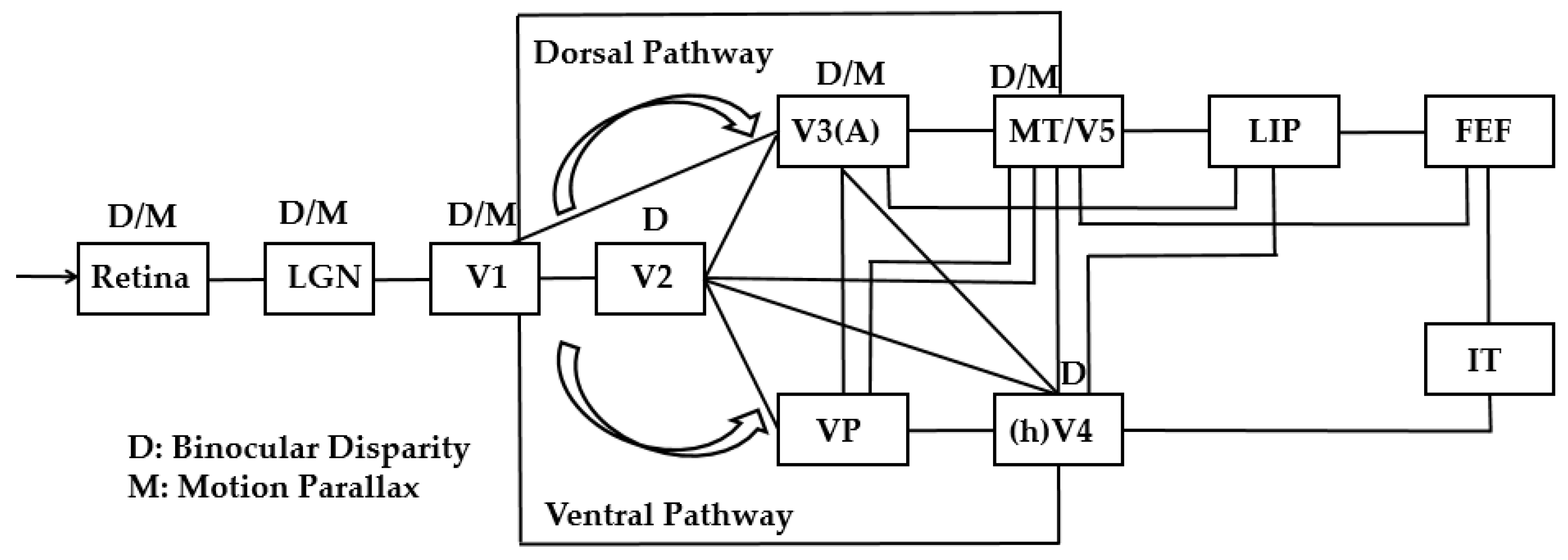Sensors 25 03171 g002 Sensors 25 03171 g002