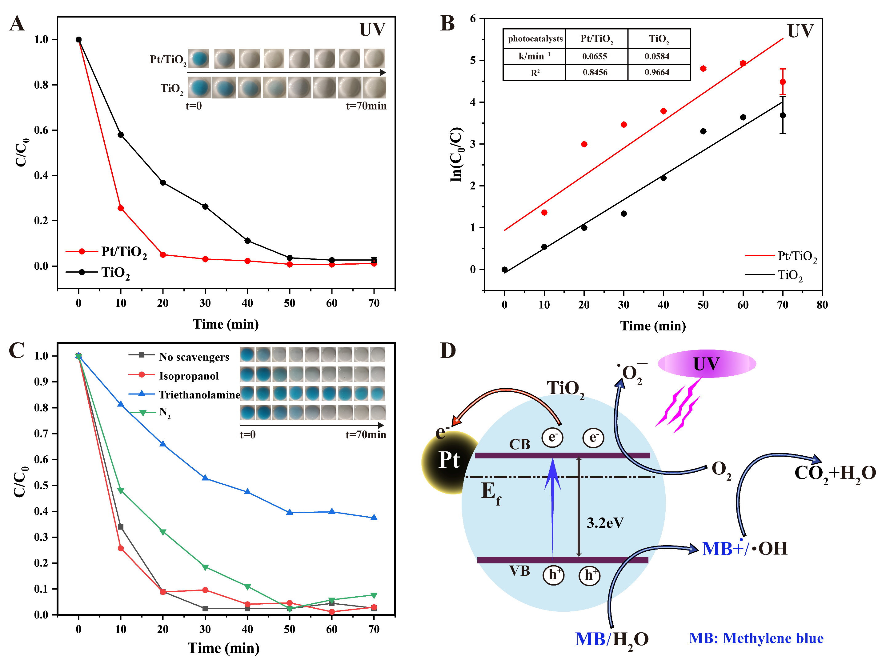 Sensors 25 03195 g003