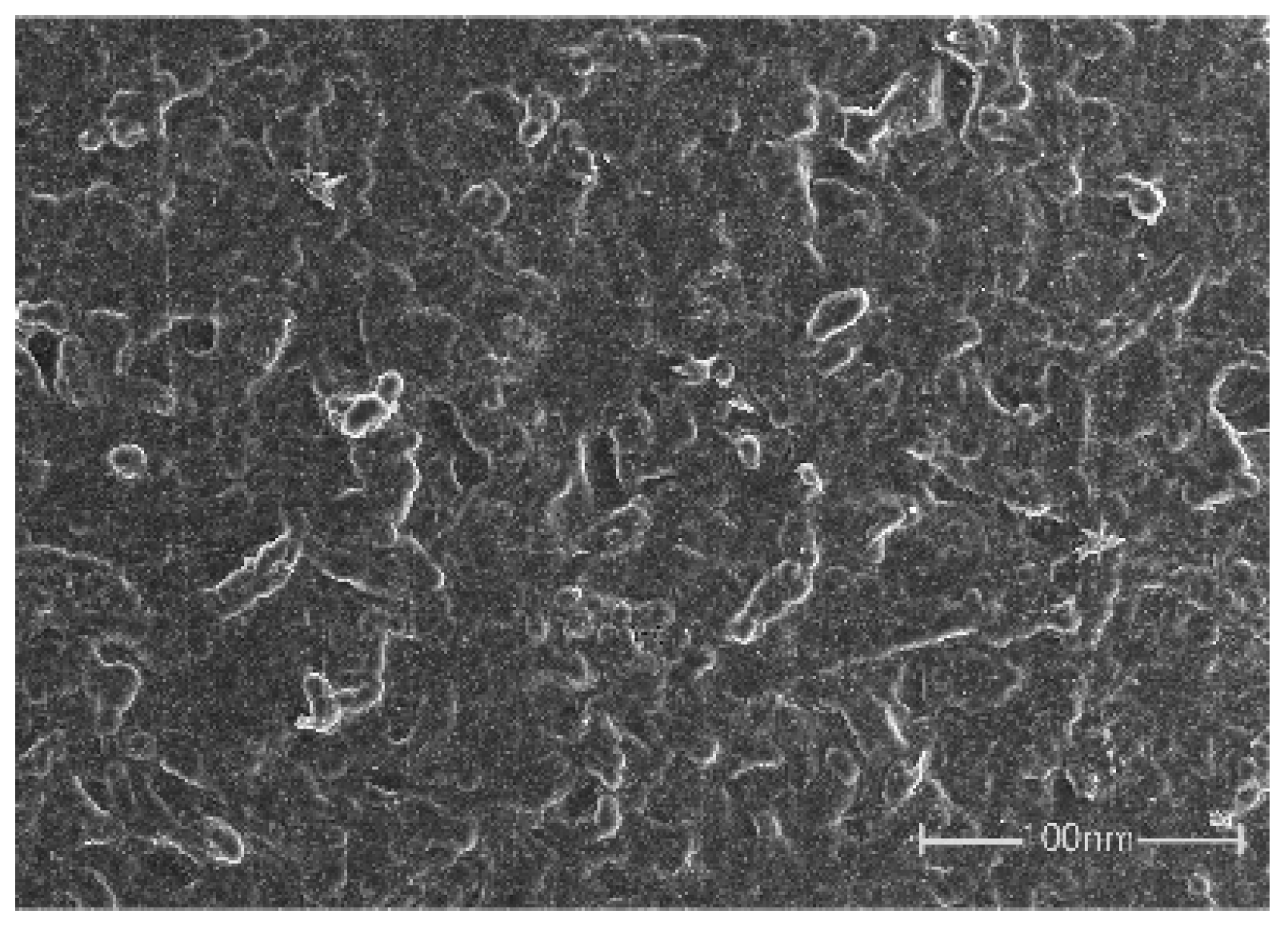 Sensors 25 03201 g005