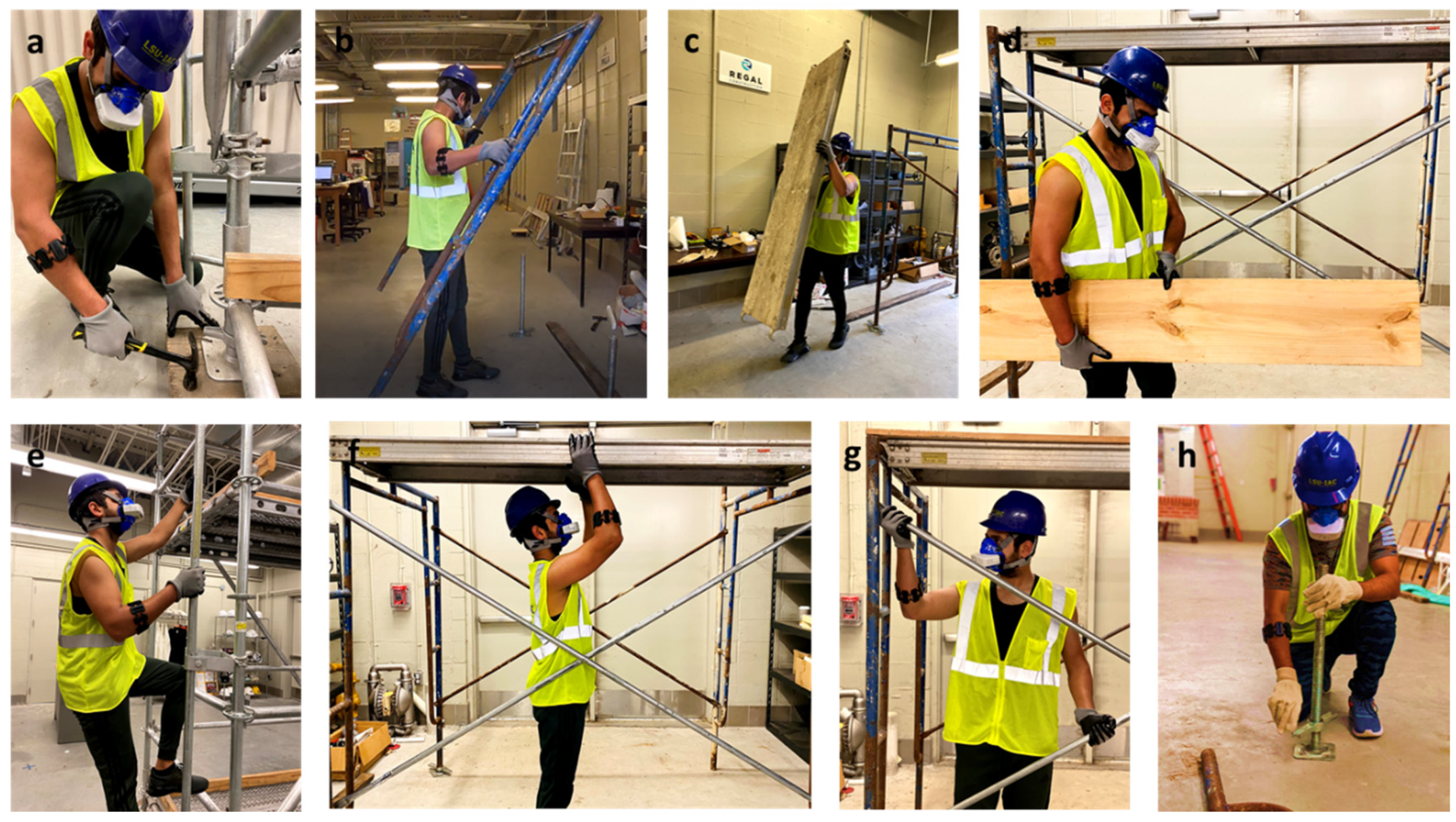 Sensors 25 03204 g001