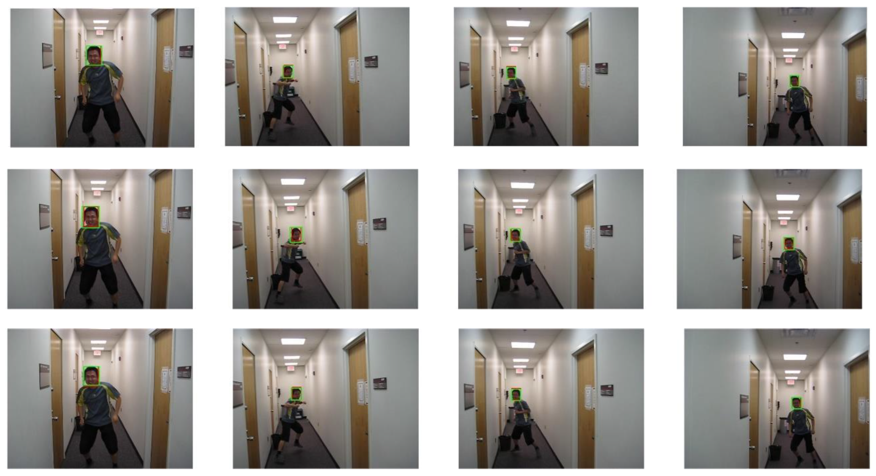 Sensors 25 03214 g013