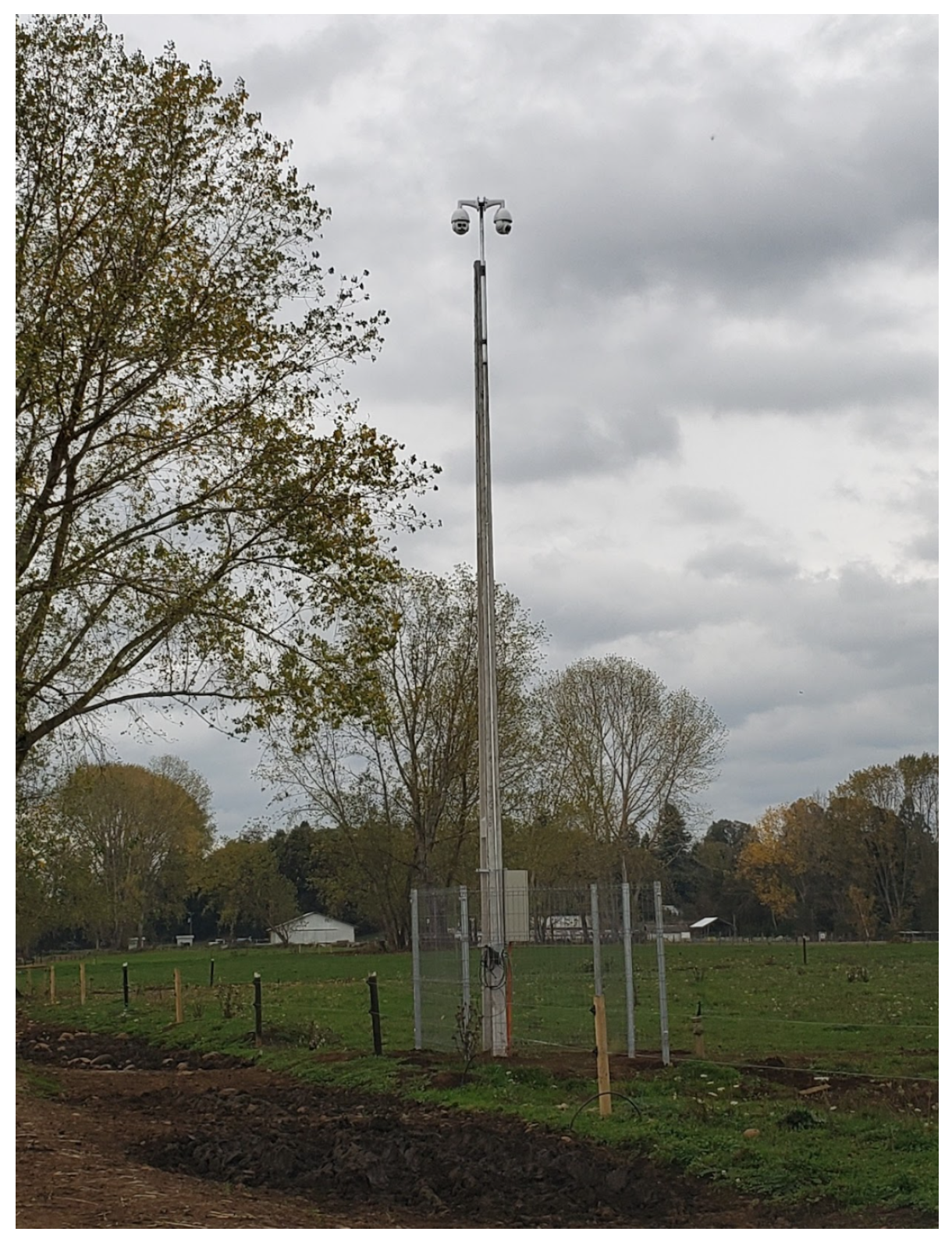 Sensors 25 03233 g004