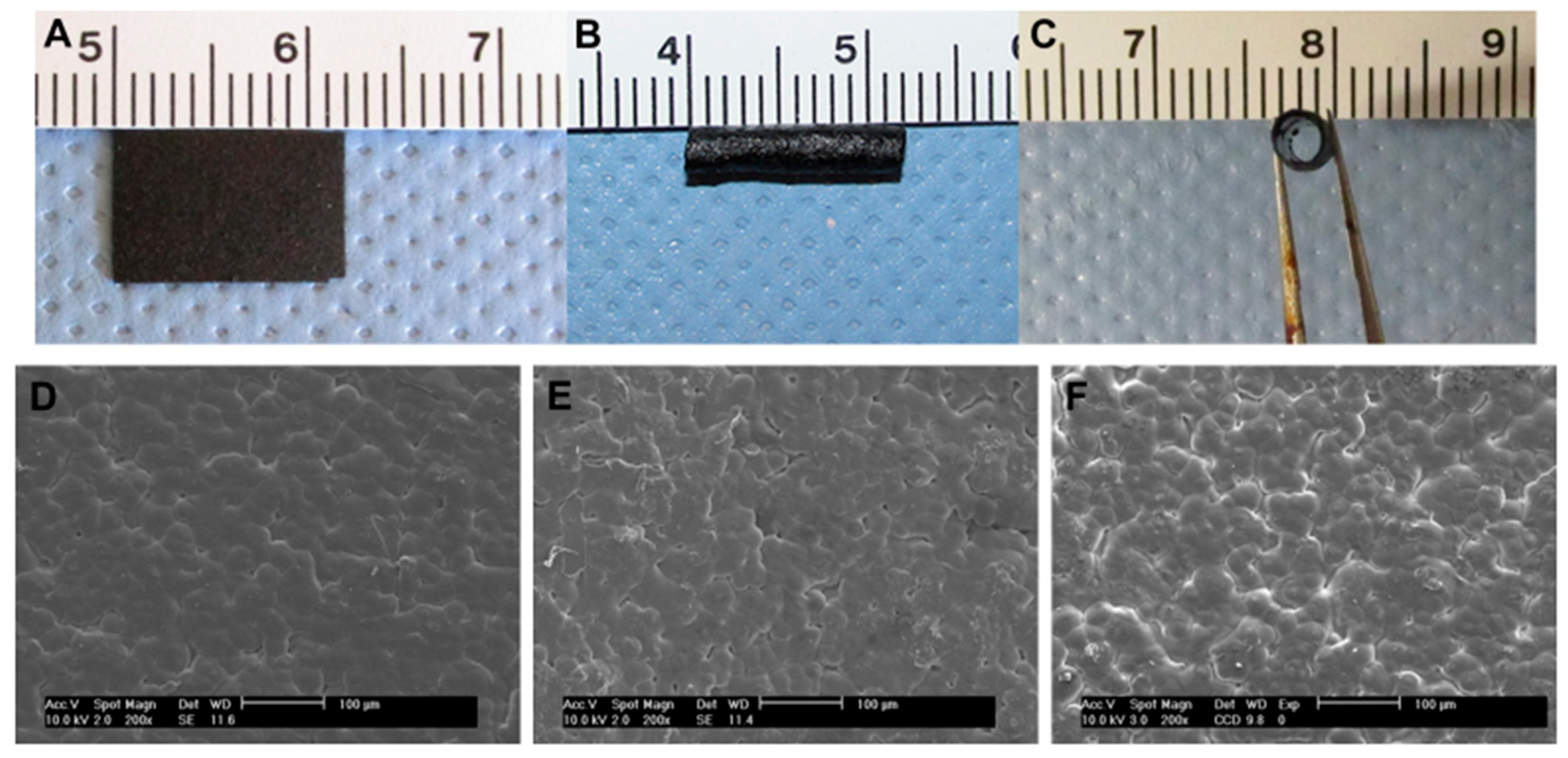 Sensors 25 03256 g008