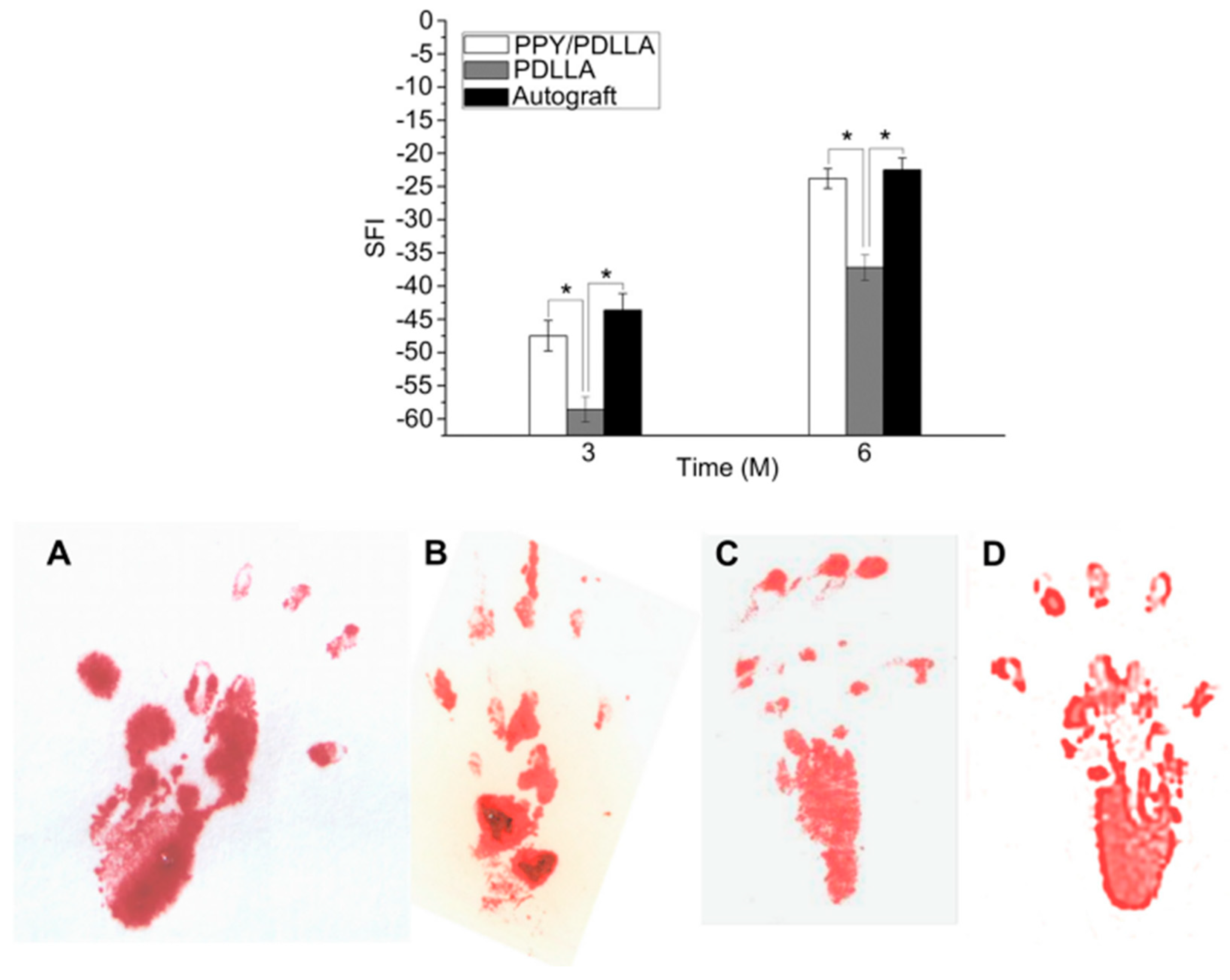 Sensors 25 03256 g010