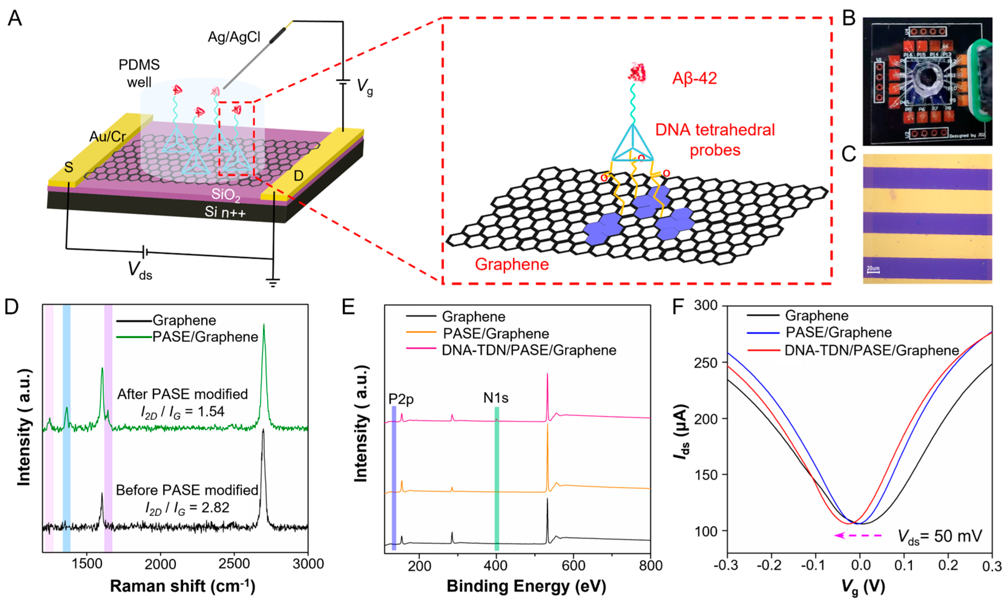 Rigid DNA Frameworks Anchored Transistor Enabled