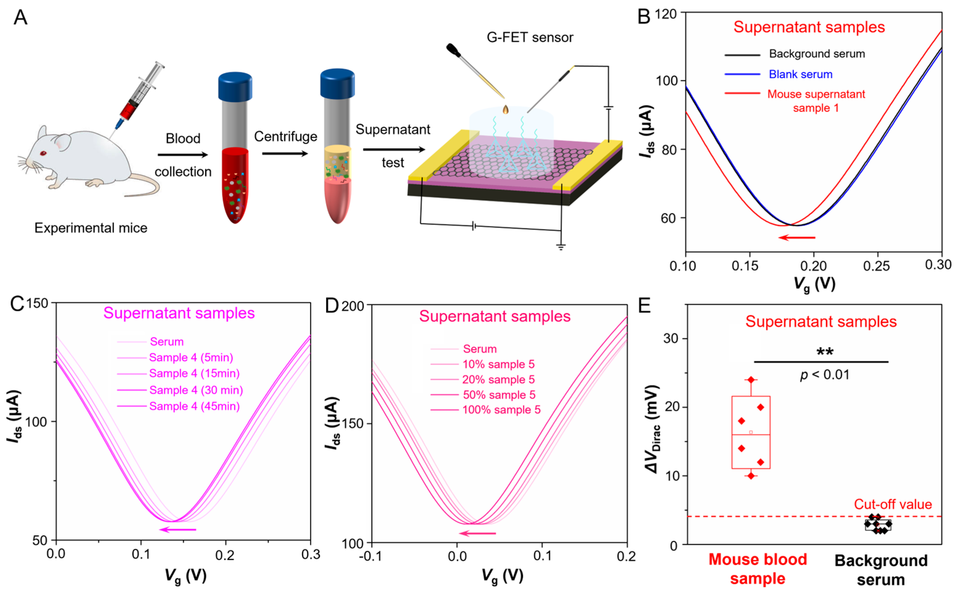 Sensors 25 03260 g004