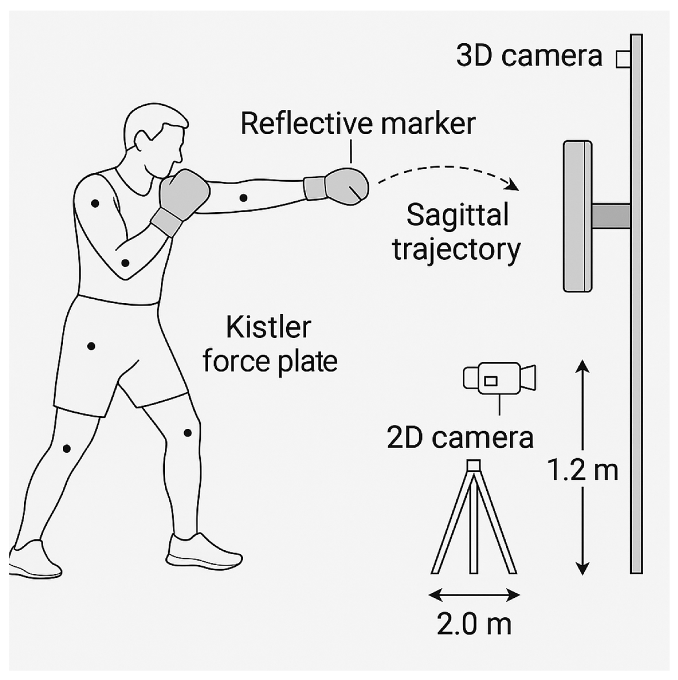 Sensors 25 03270 g001