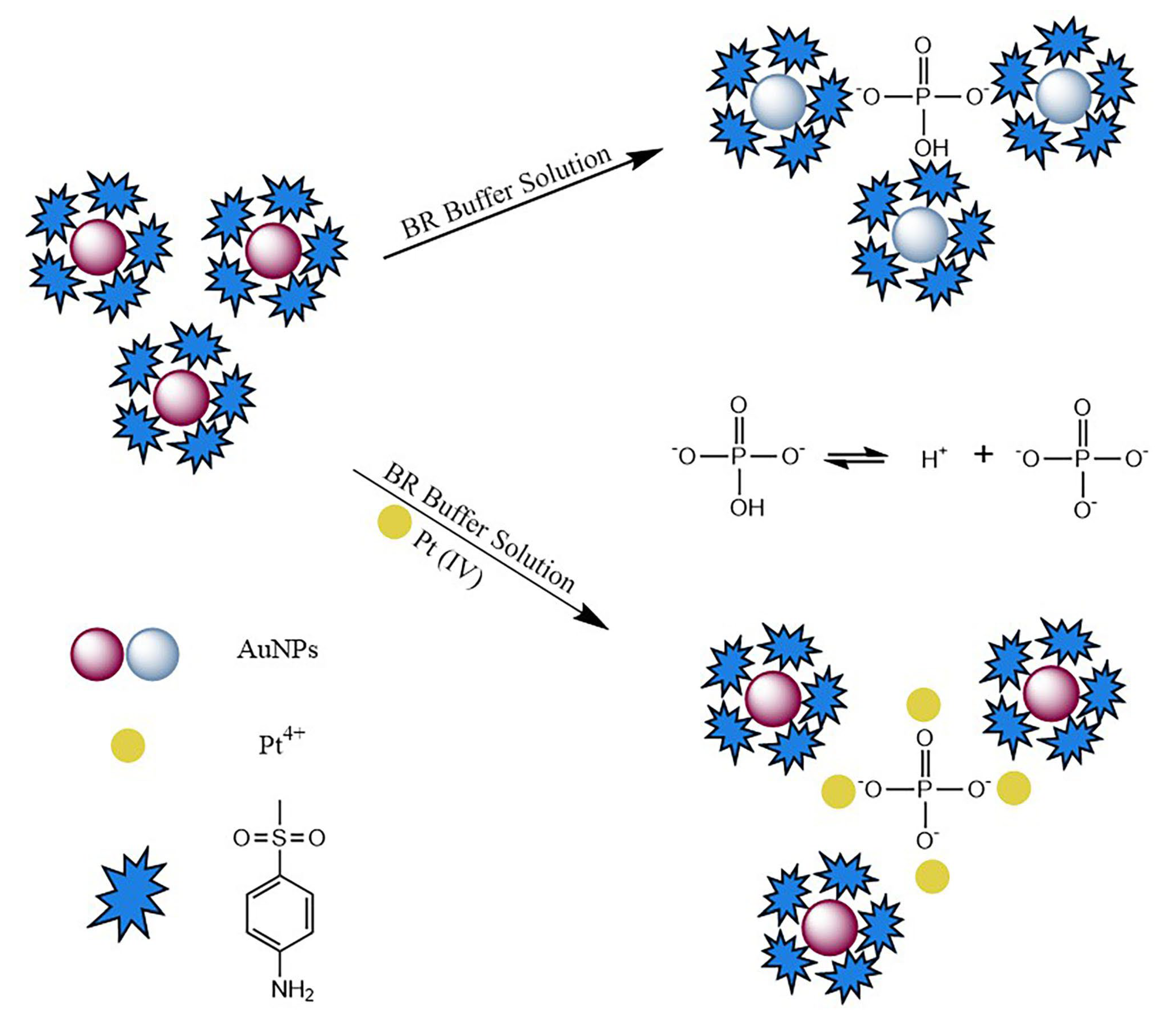 Sensors 25 03274 g001 Sensors 25 03274 g001