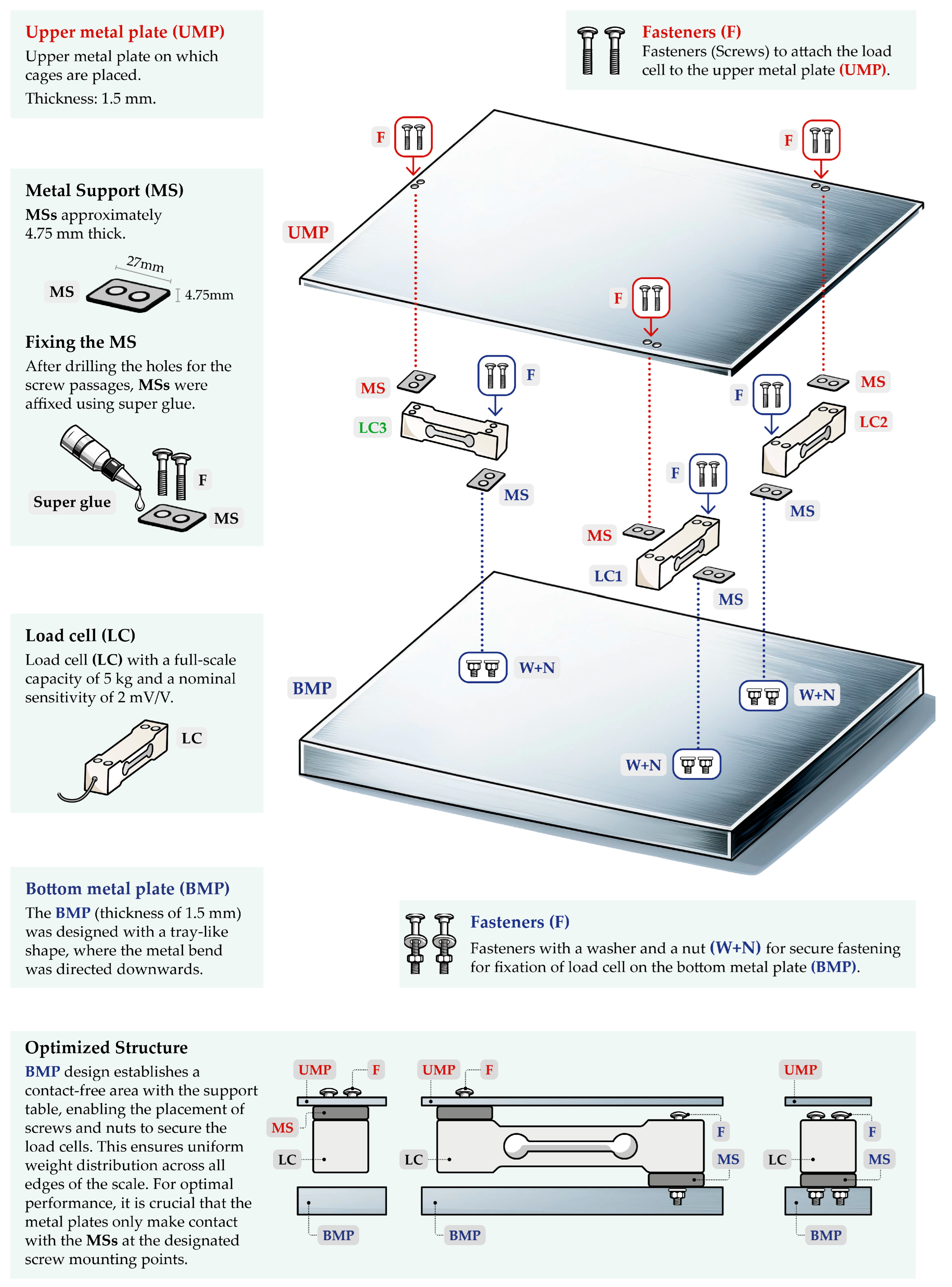 Sensors 25 03290 g001 Sensors 25 03290 g001