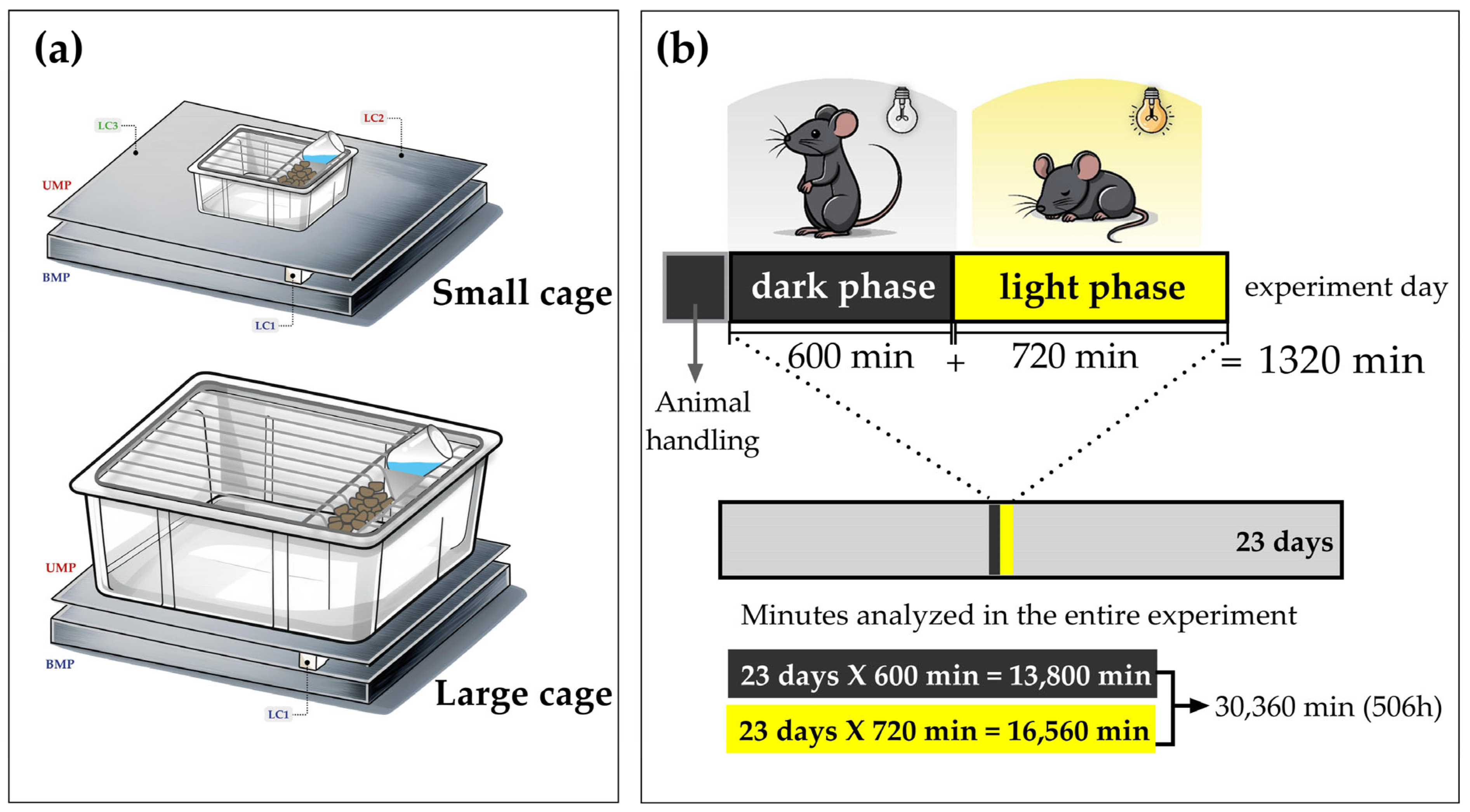 Sensors 25 03290 g006 Sensors 25 03290 g006