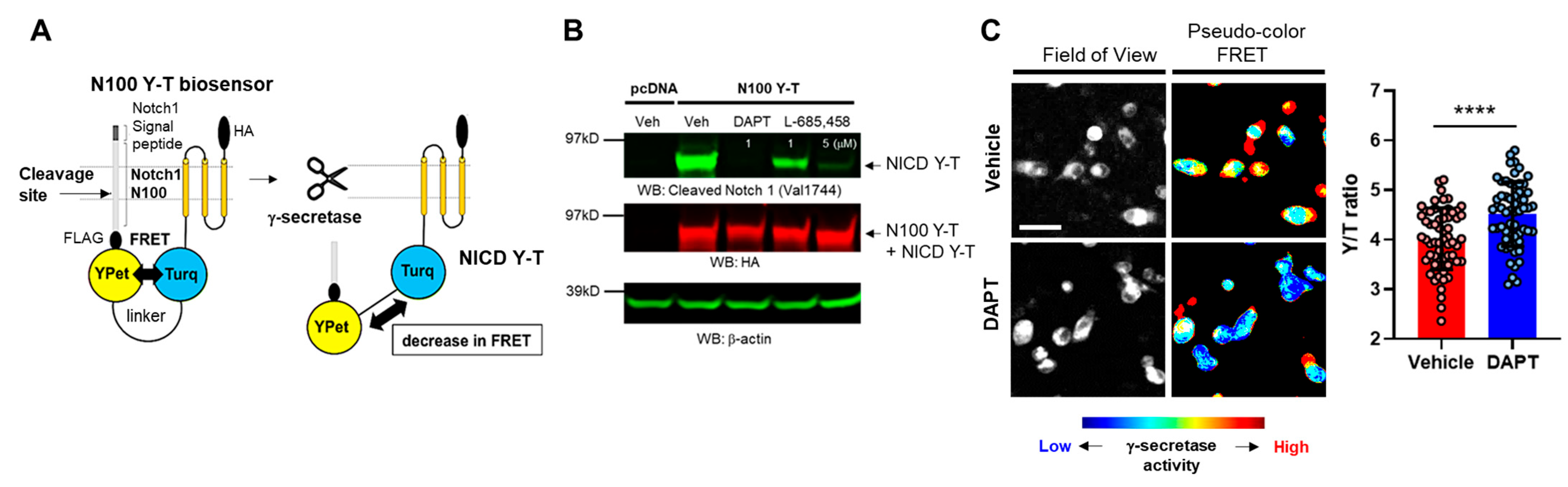 Sensors 25 03298 g001