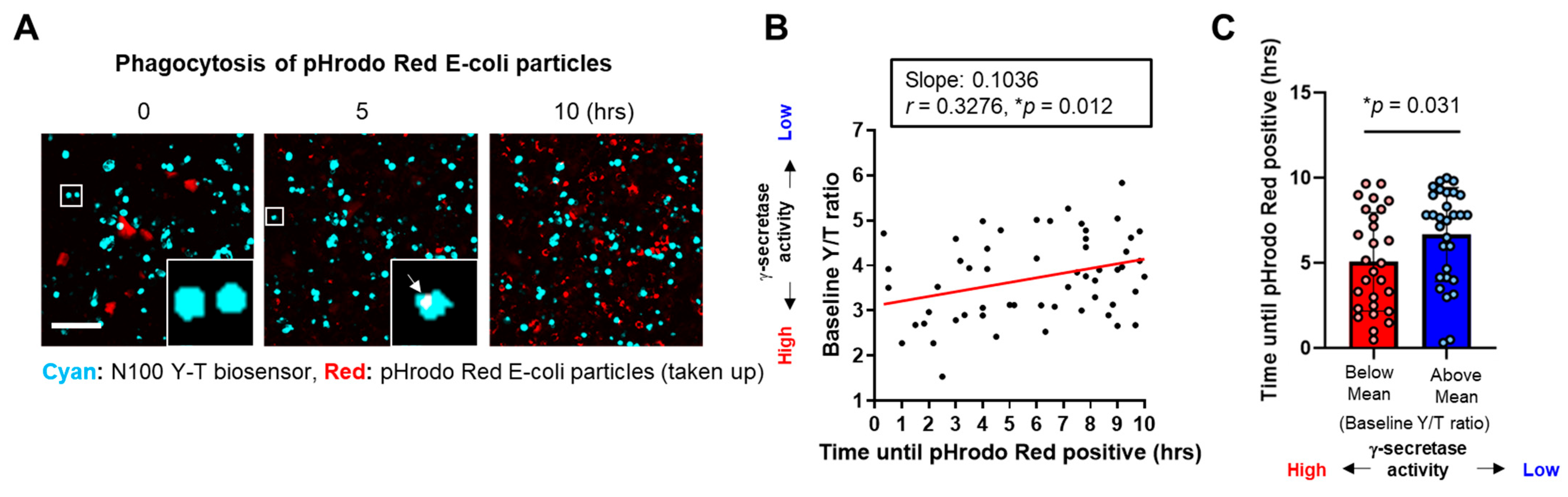 Sensors 25 03298 g002