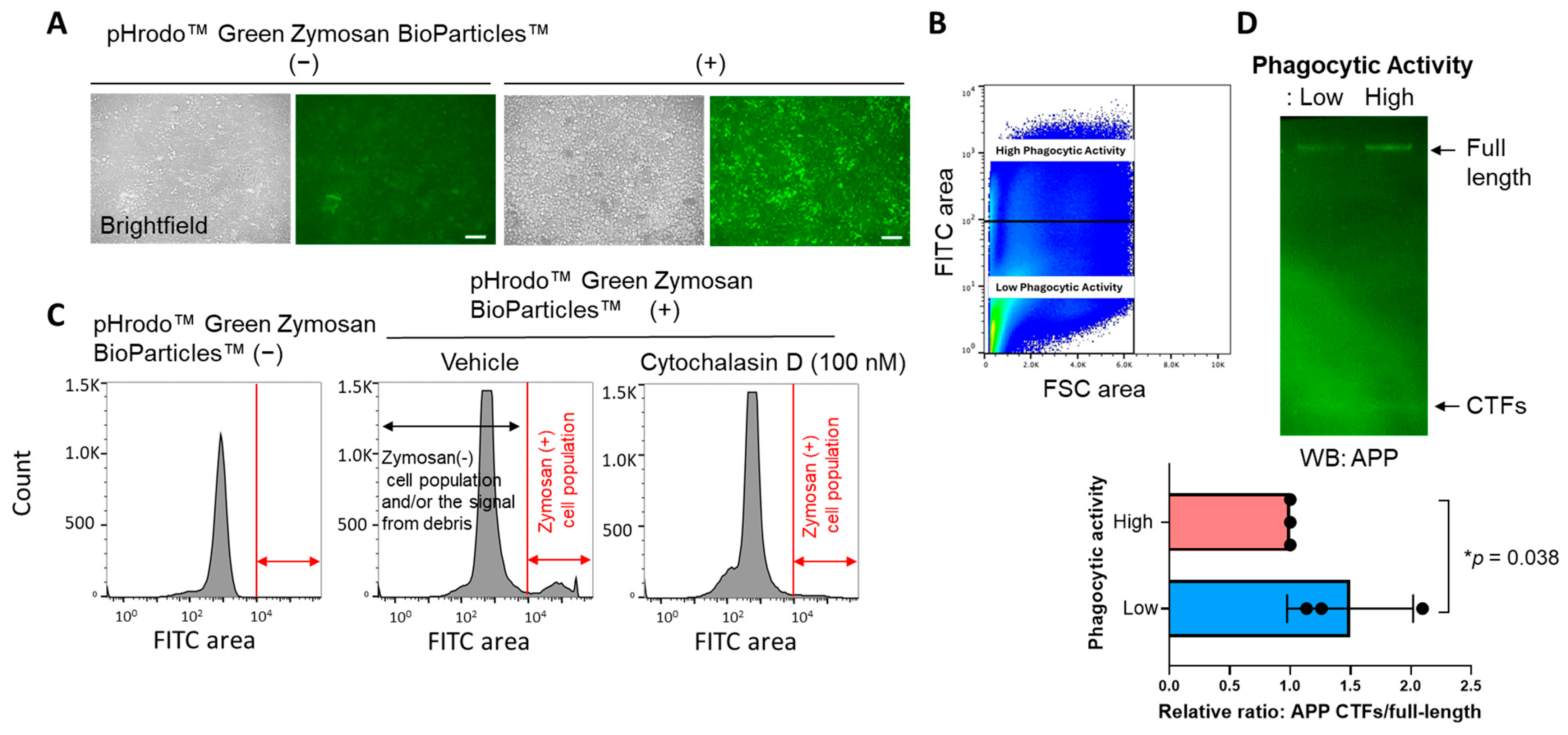 Sensors 25 03298 g004