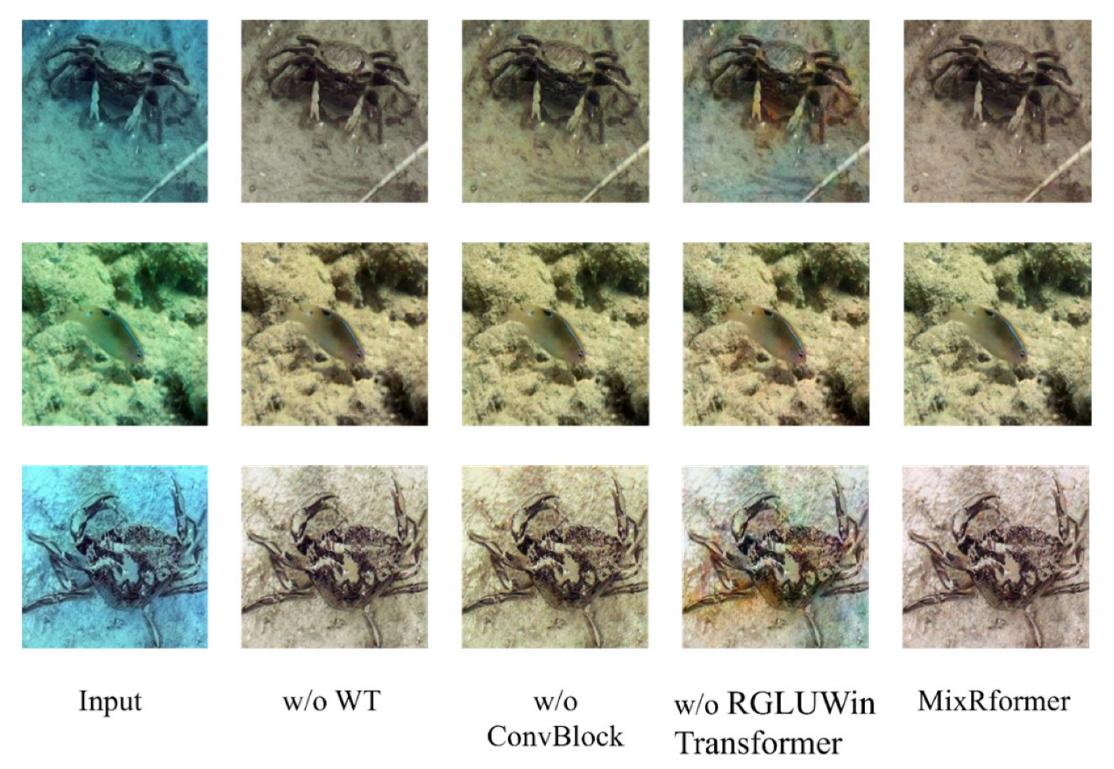 Sensors 25 03302 g009