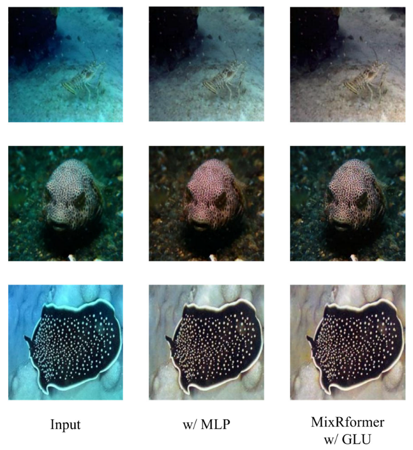 Sensors 25 03302 g010