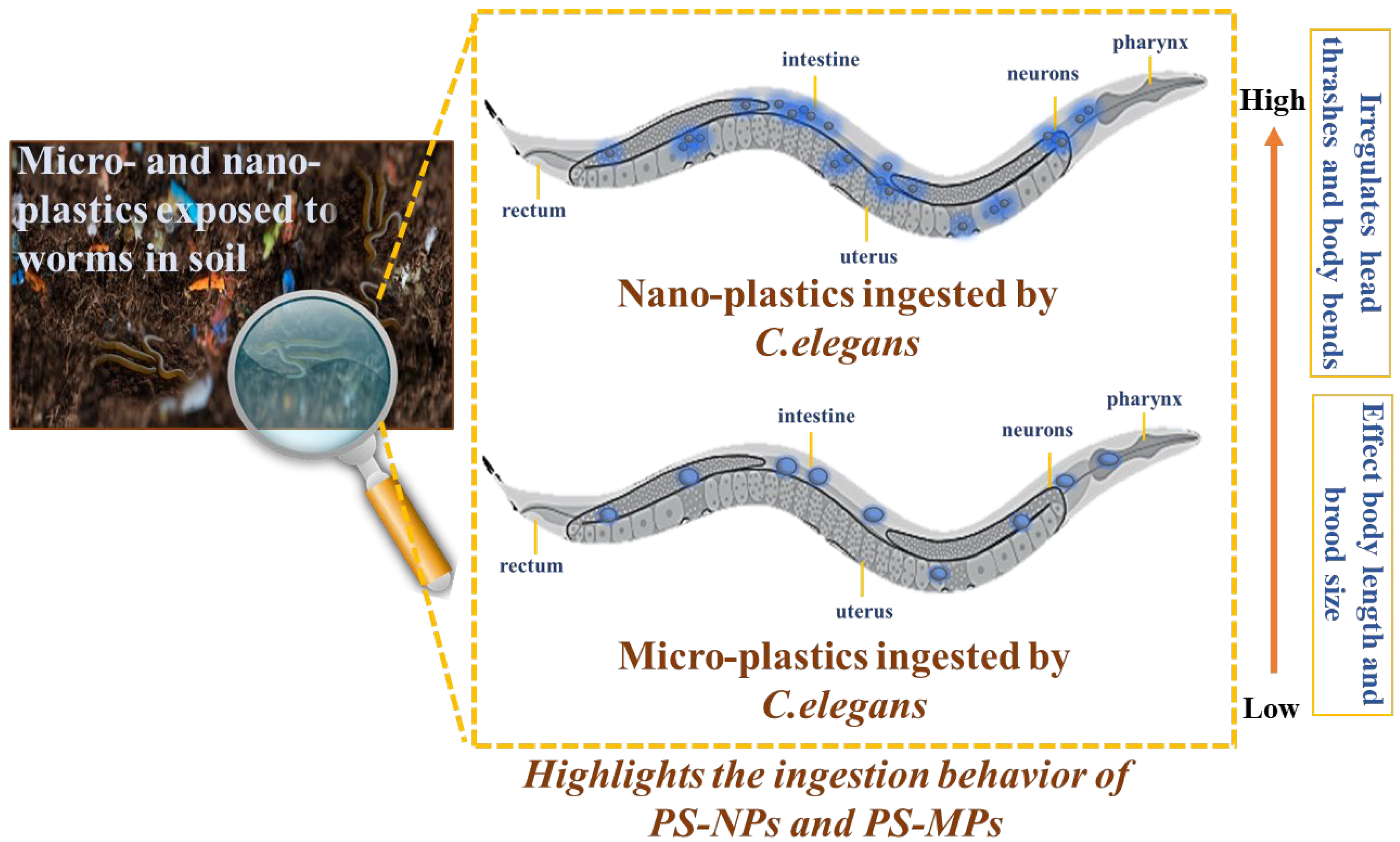 Sensors 25 03306 g008