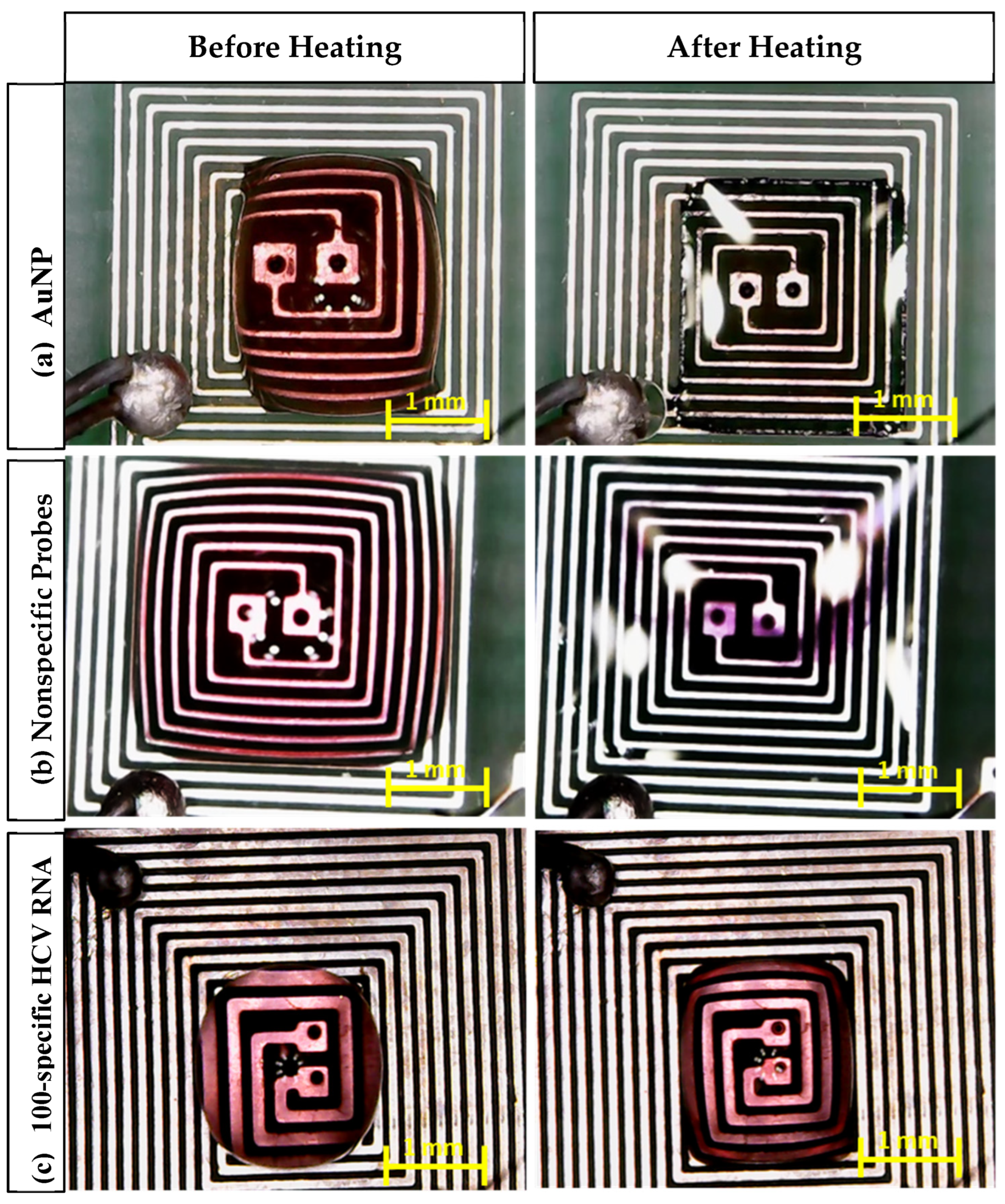 Sensors 25 03312 g009