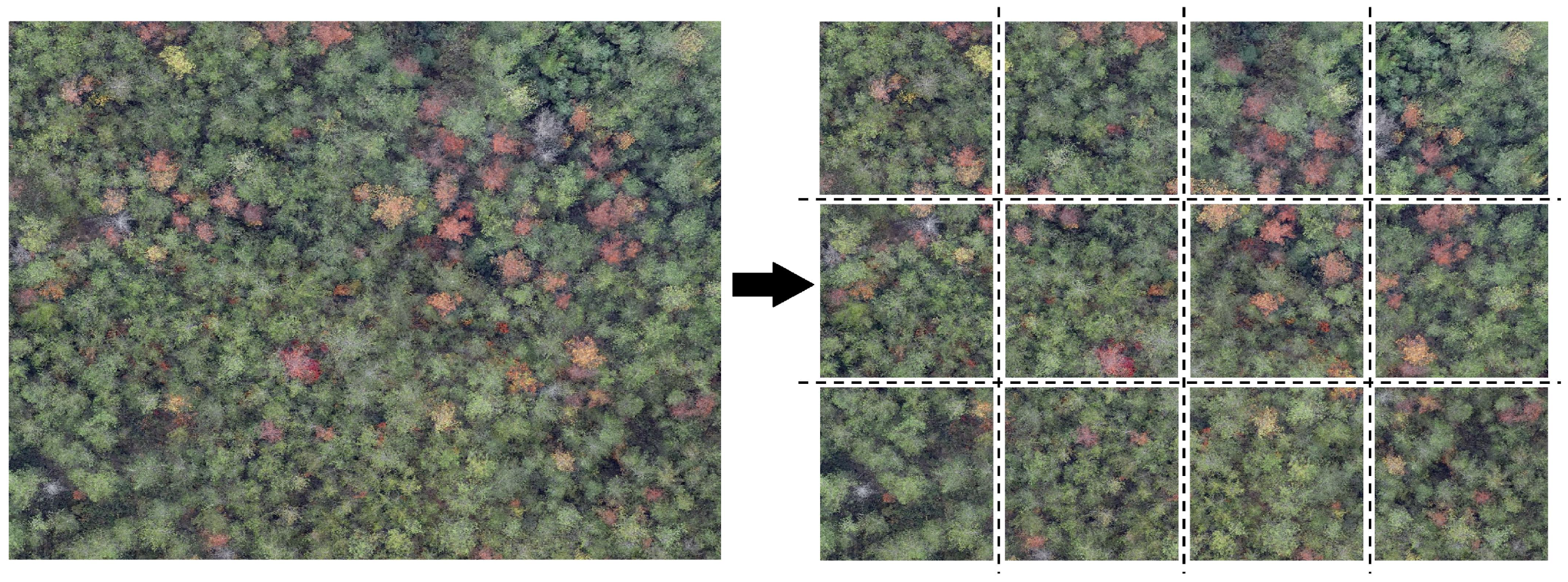 Sensors 25 03315 g003