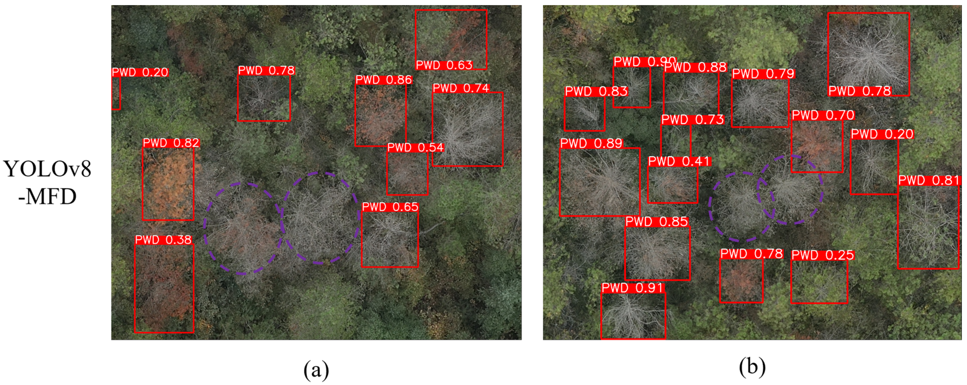 Sensors 25 03315 g012