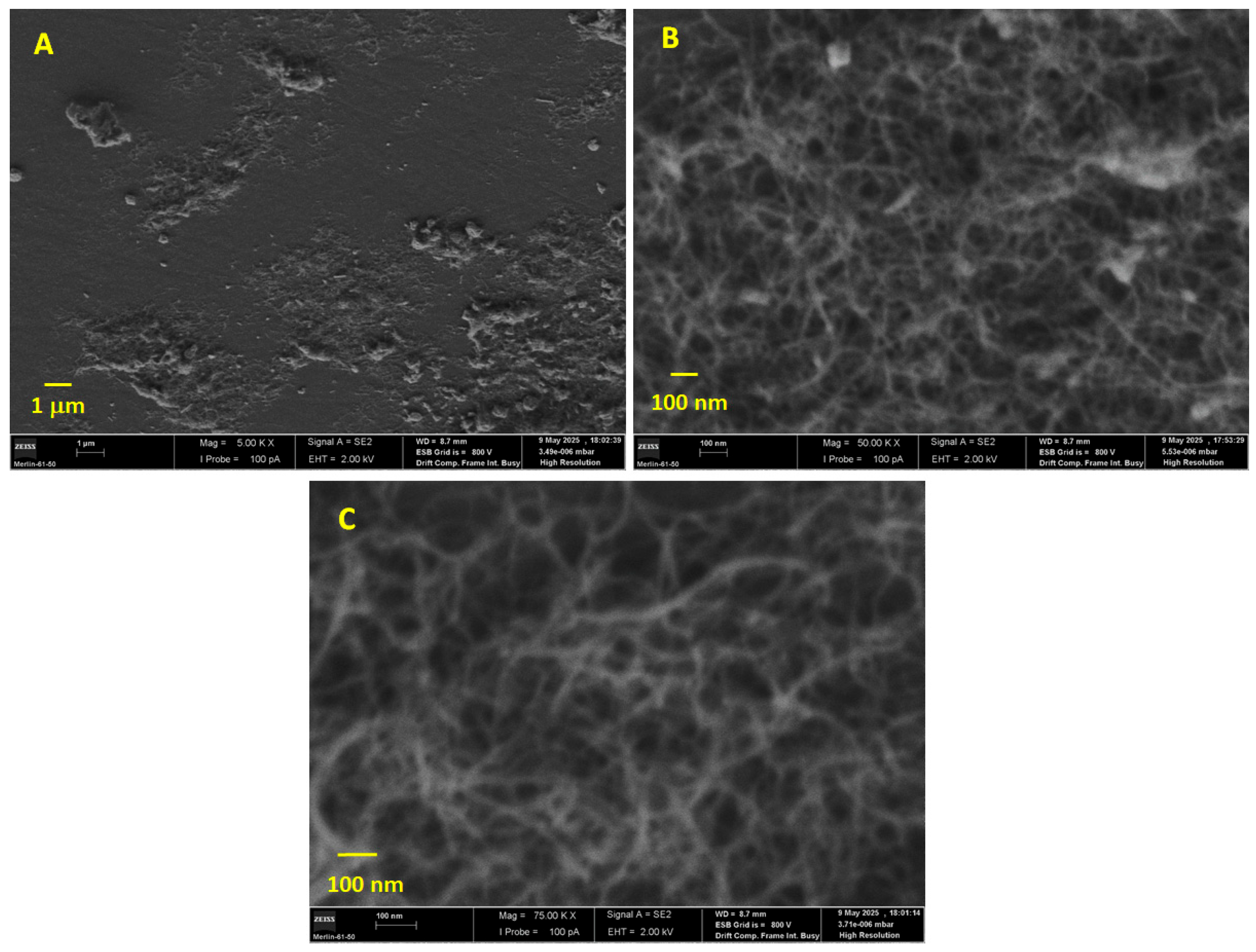 Sensors 25 03322 g002