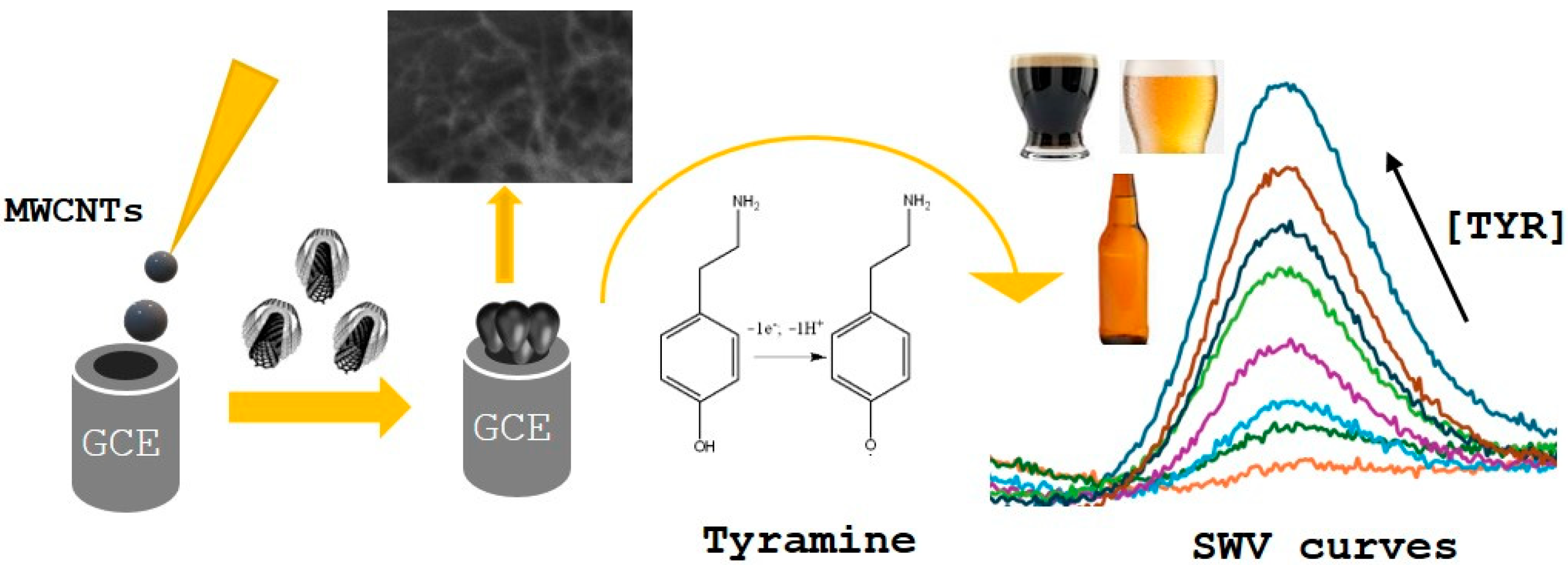 Sensors 25 03322 sch001