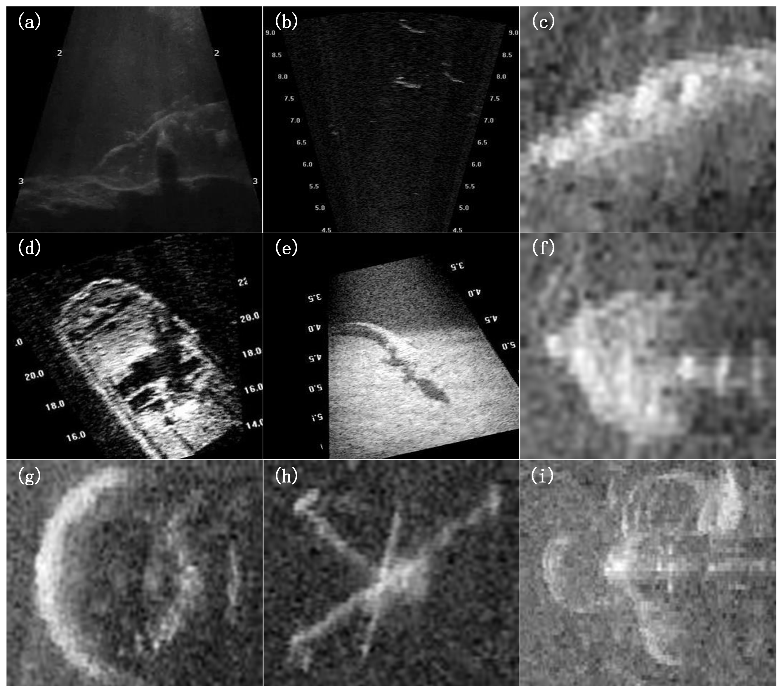 Sensors 25 03329 g010