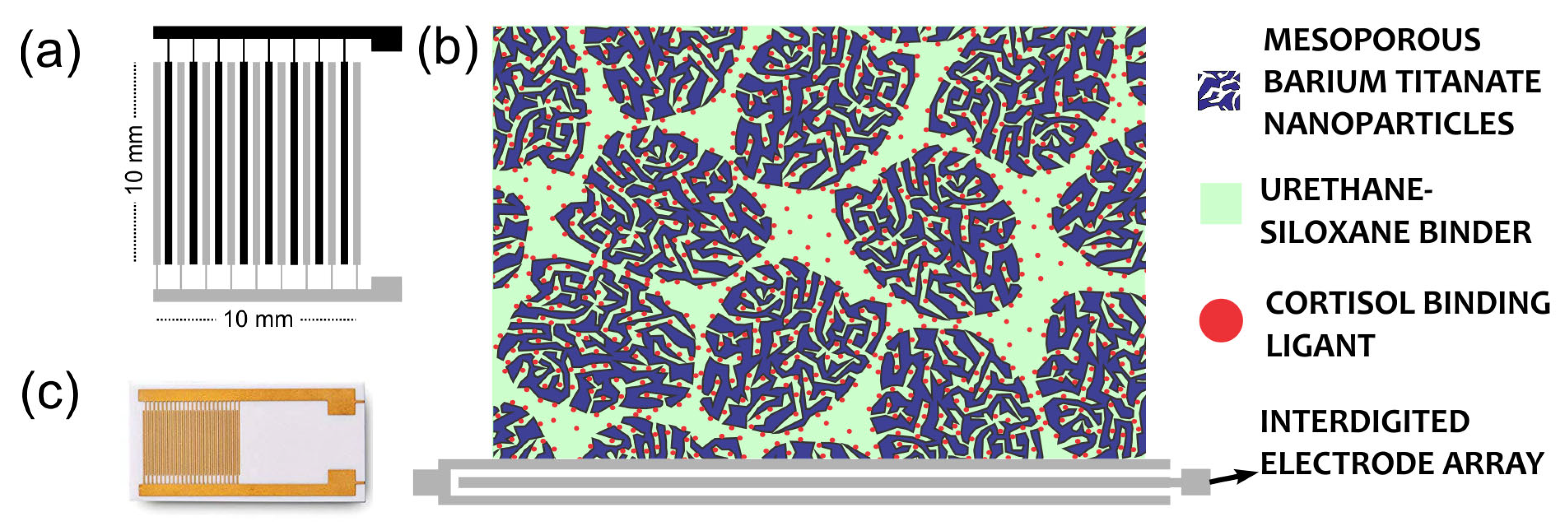 Sensors 25 03346 g001 Sensors 25 03346 g001