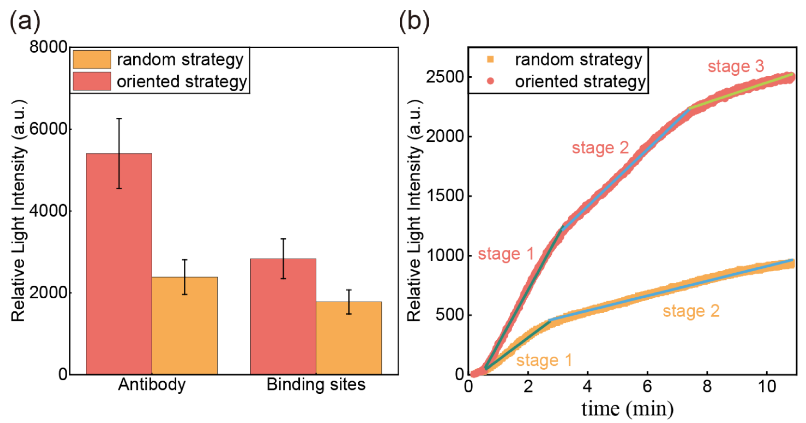 Sensors 25 03347 g002