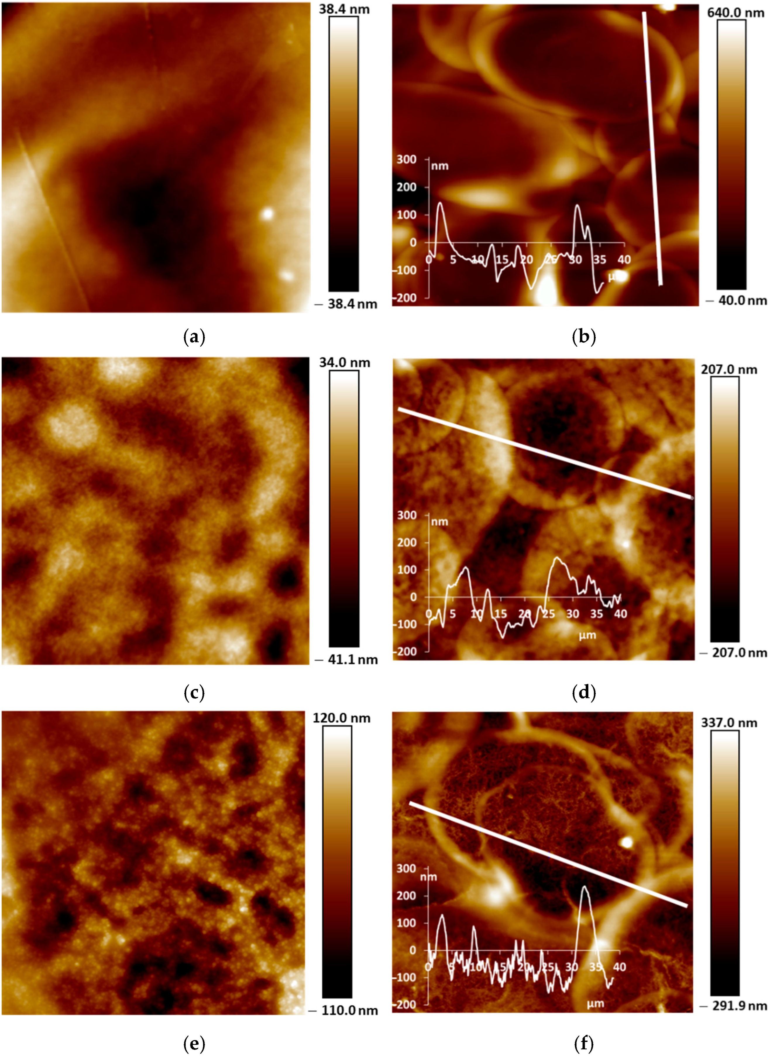 Sensors 25 03348 g005a