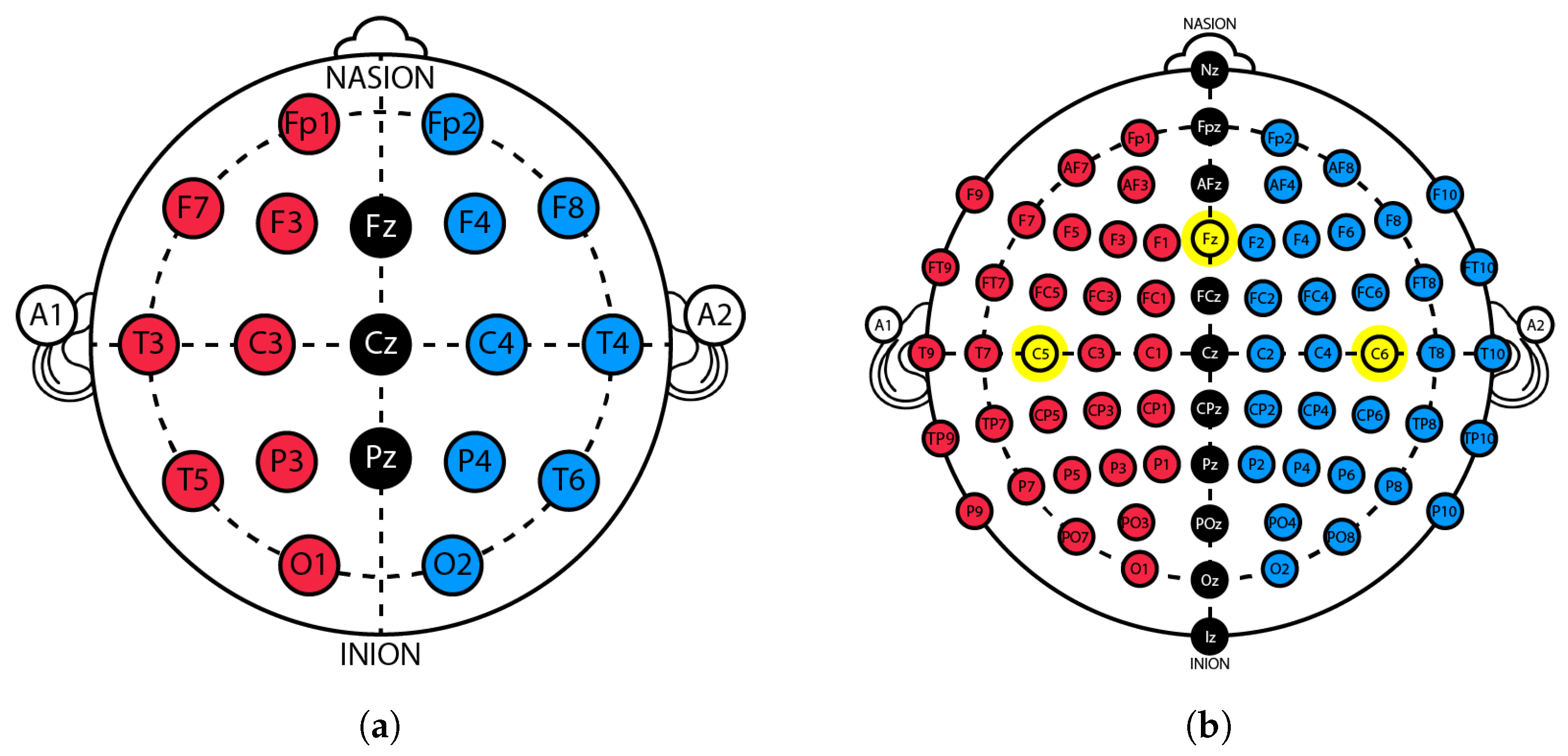 Sensors 25 03355 g001