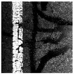 Sensors 25 03373 i011