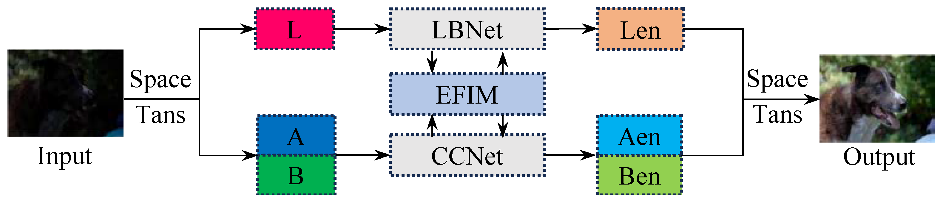 Sensors 25 03382 g002