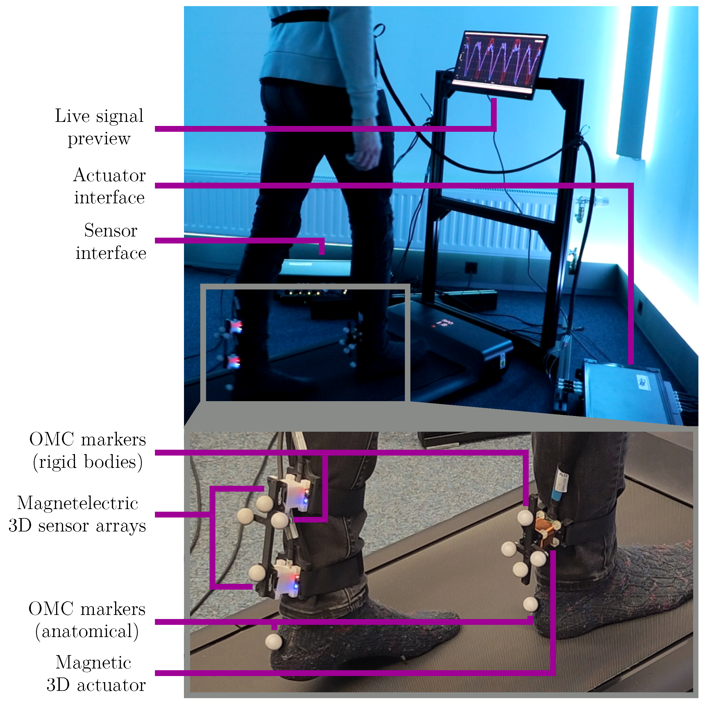 Sensors 25 03390 g007