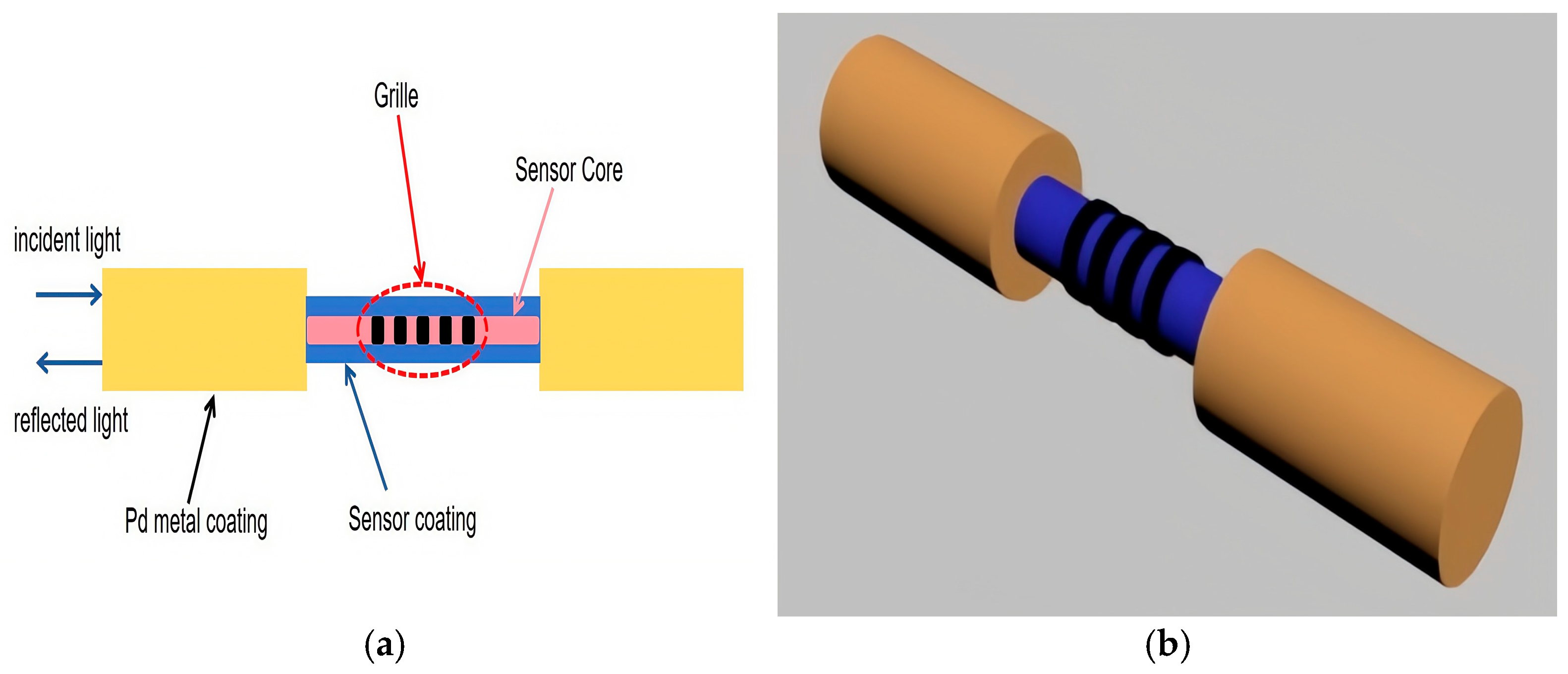 Sensors 25 03402 g005