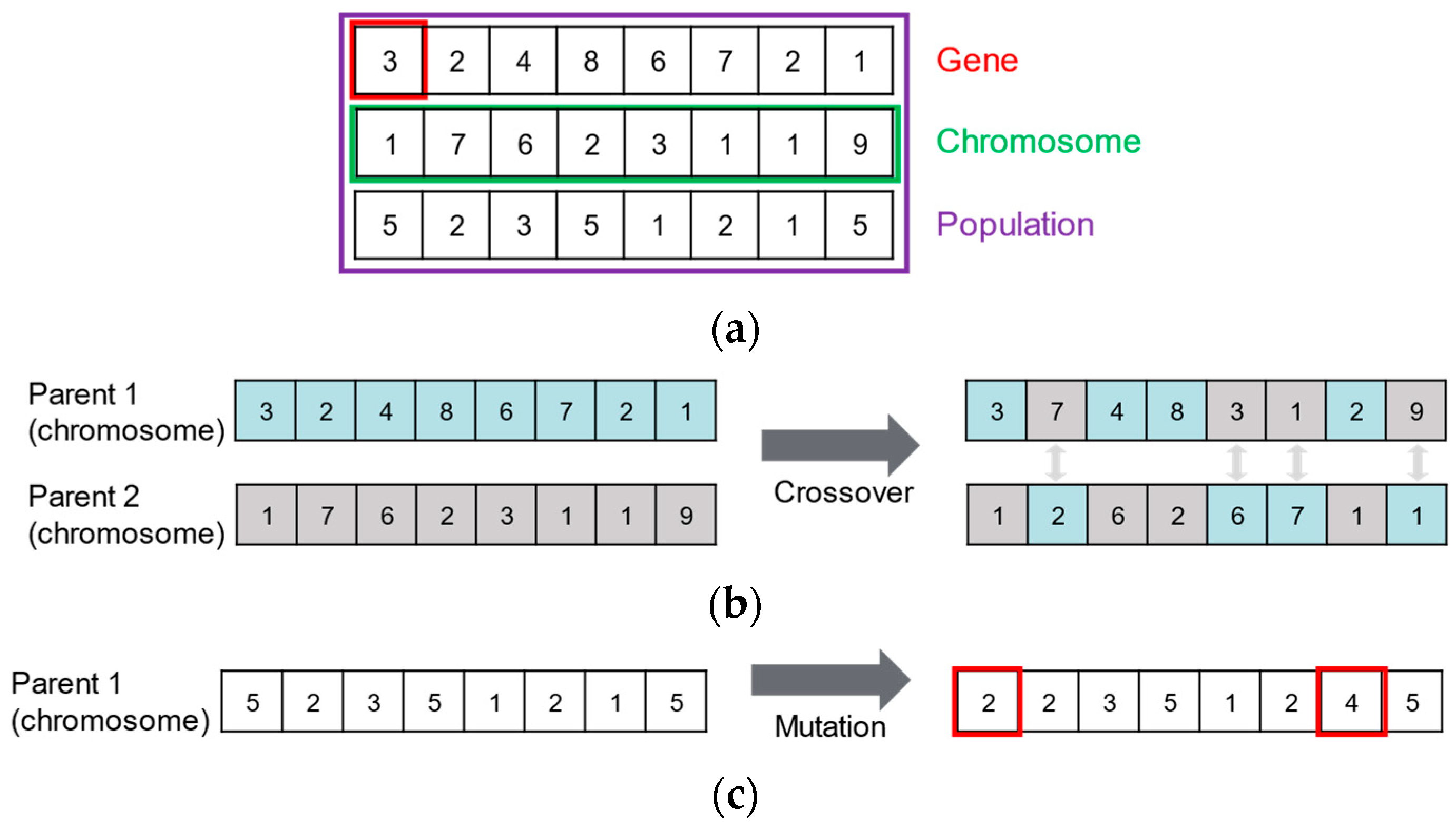 Sensors 25 03406 g004