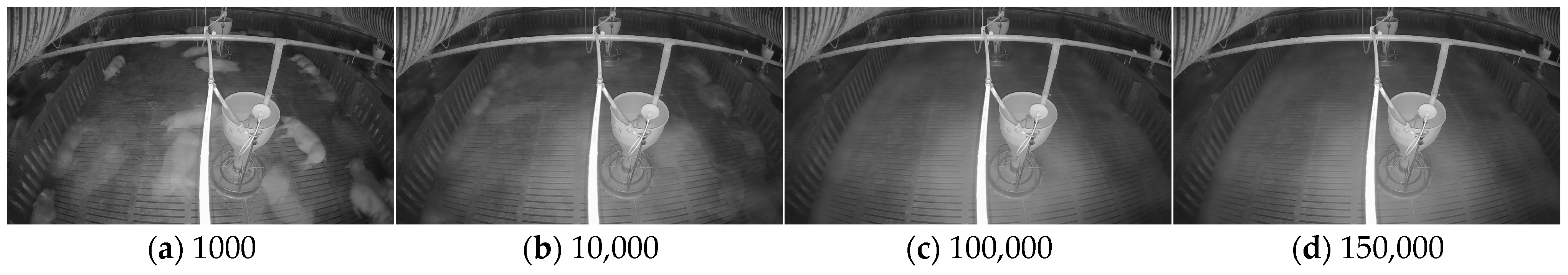 Sensors 25 03406 g008