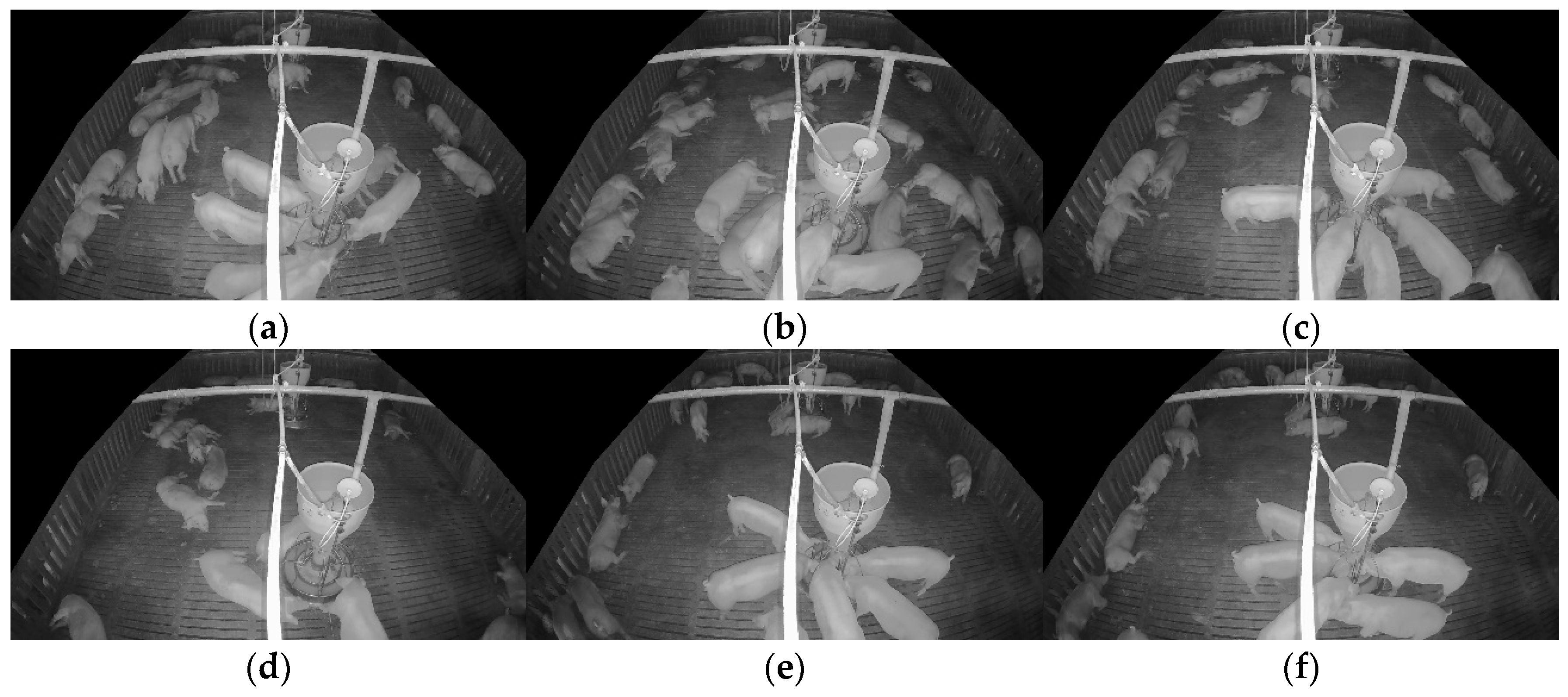 Sensors 25 03406 g010