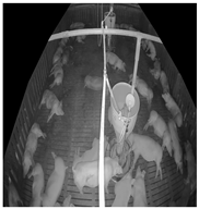 Sensors 25 03406 i005