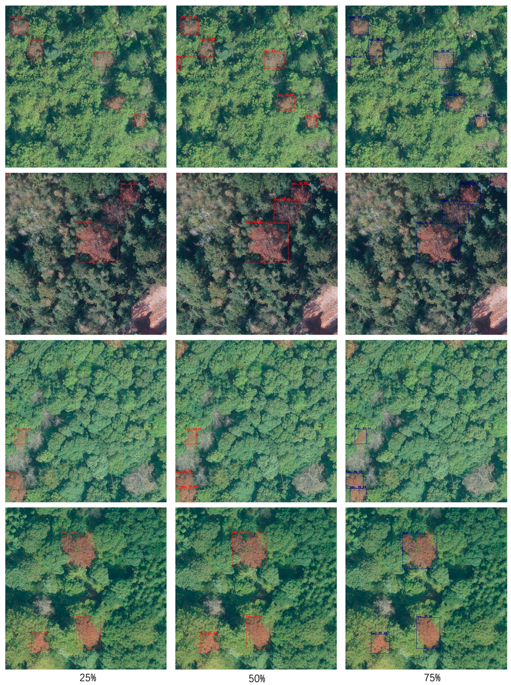 Sensors 25 03407 g011