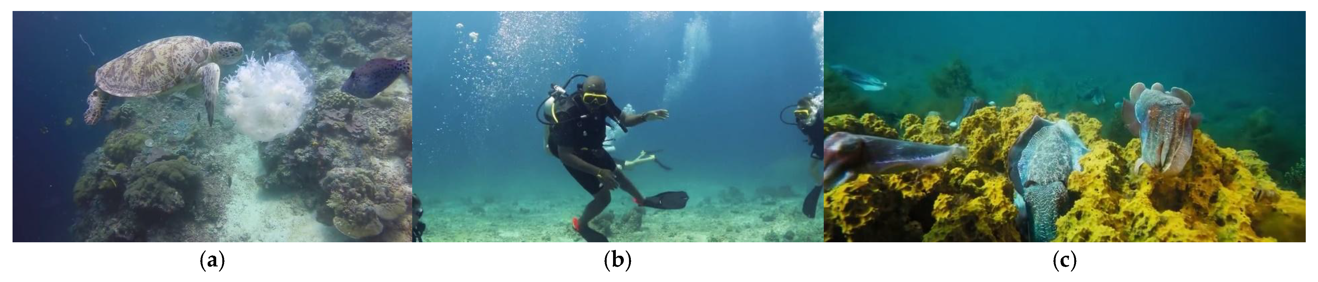 Sensors 25 03433 g007