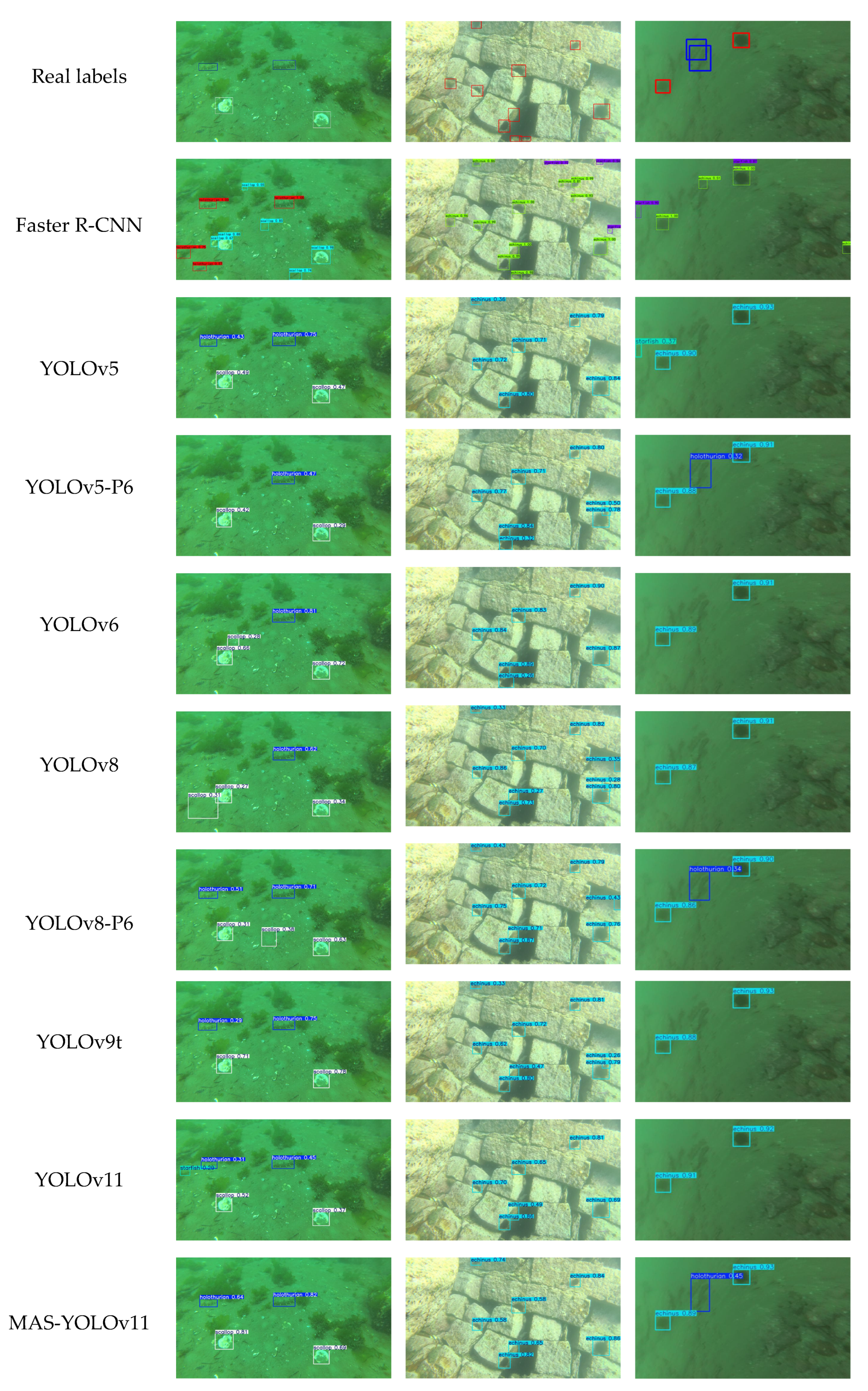 Sensors 25 03433 g017