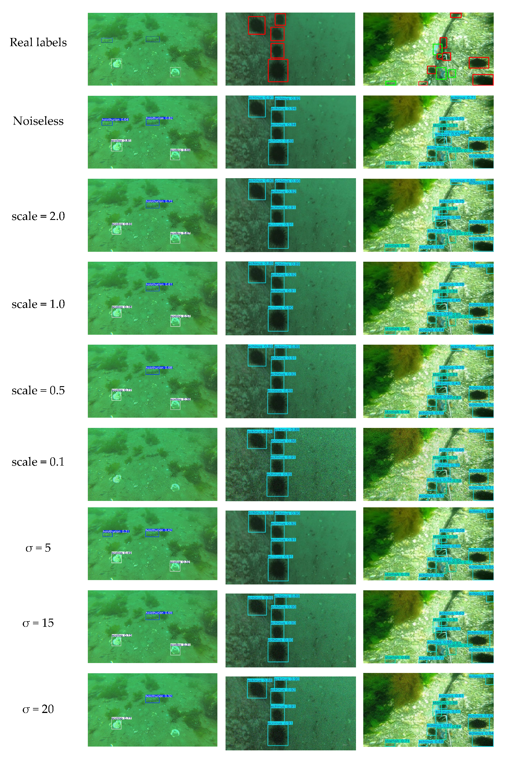Sensors 25 03433 g018