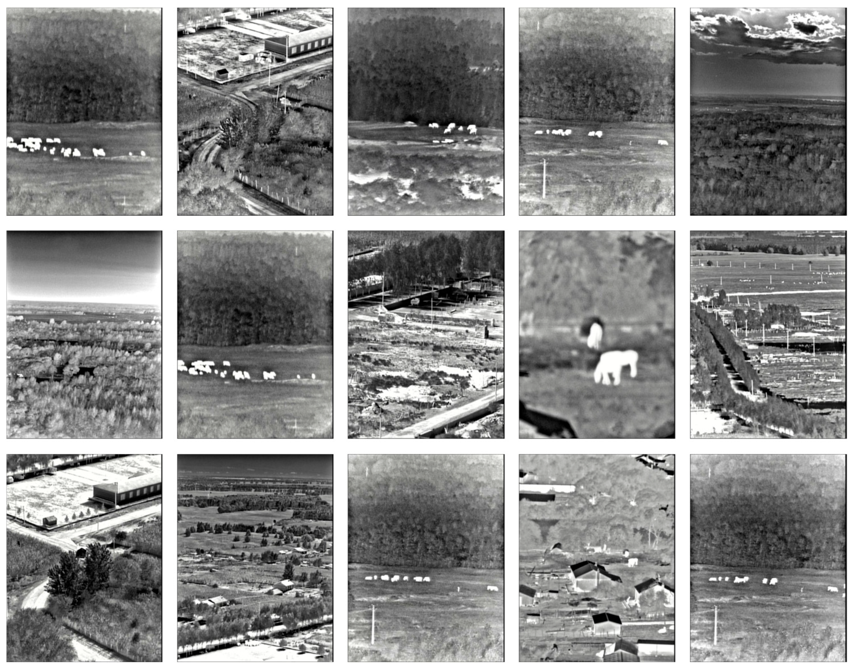 Sensors 25 03440 g005