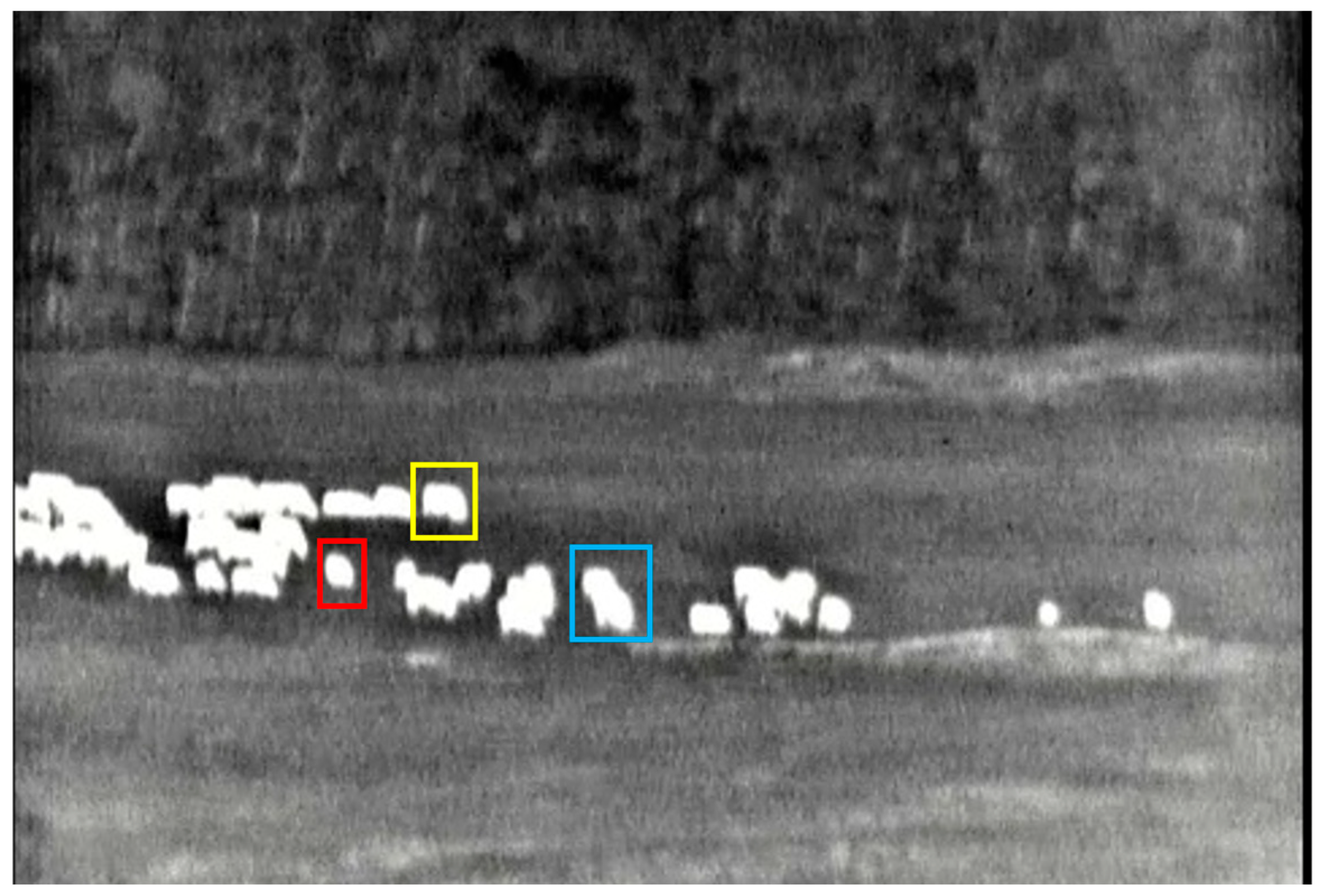 Sensors 25 03440 g007