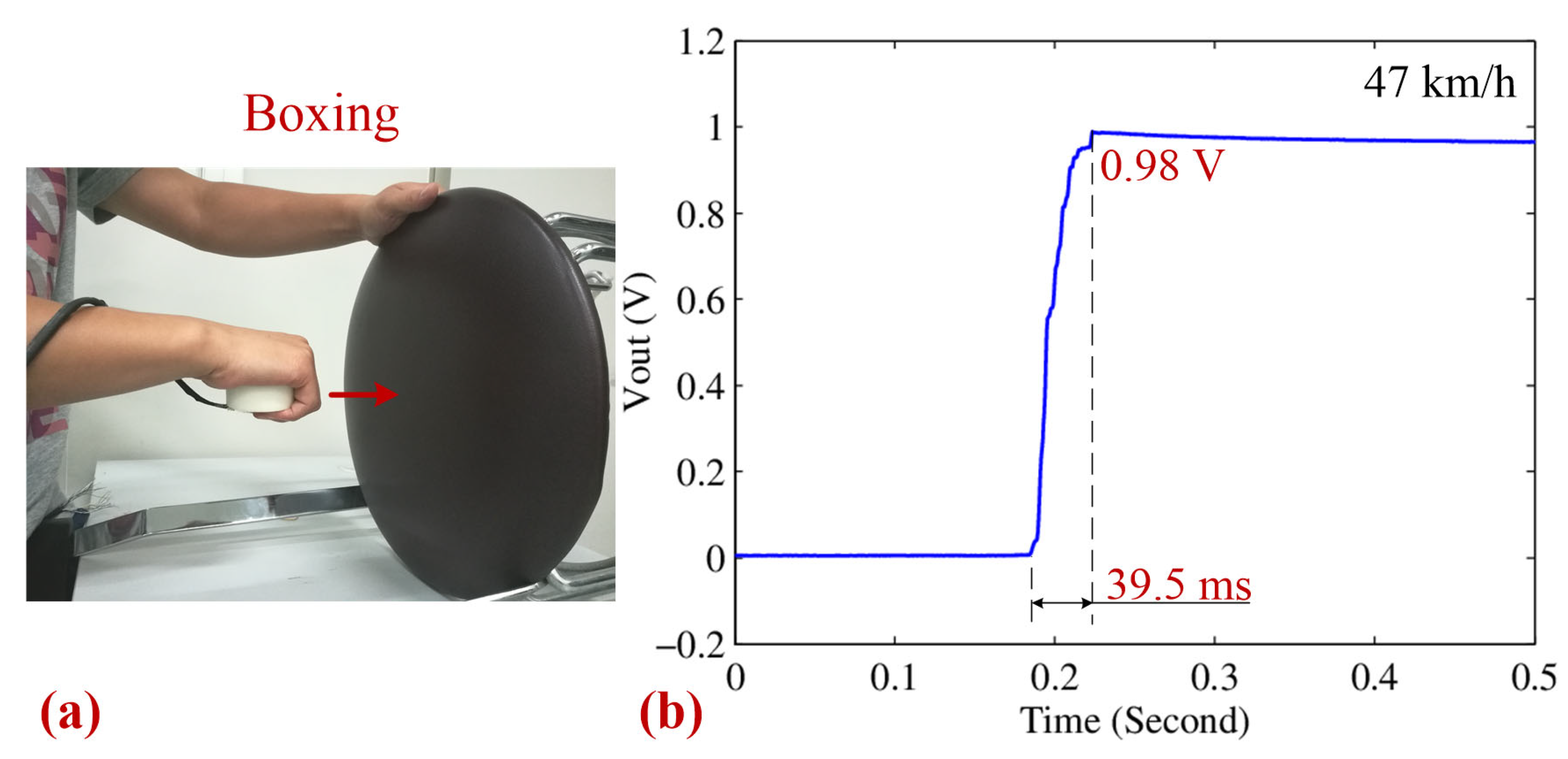 Sensors 25 03453 g012
